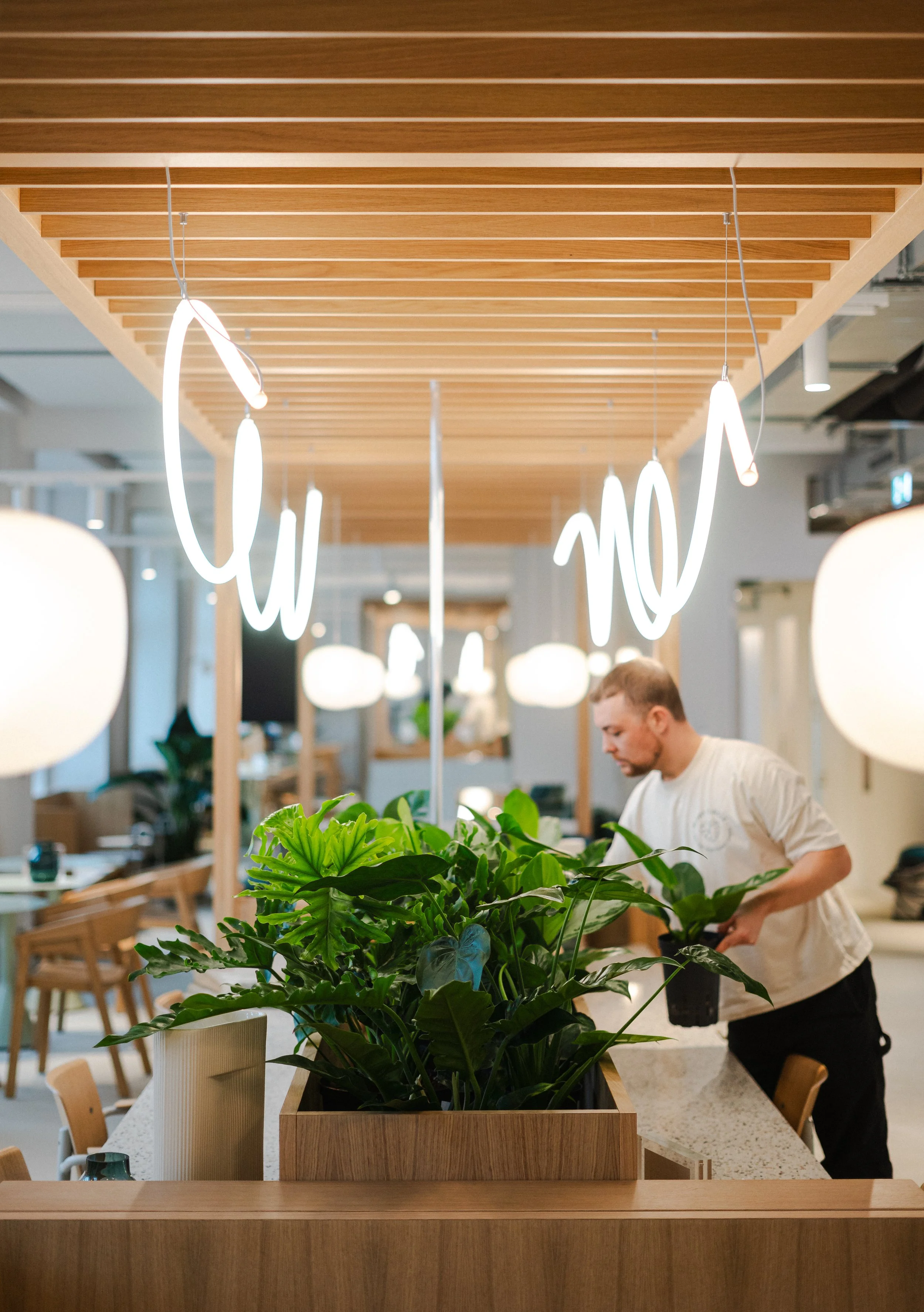 Plant Care Expert in Berlin