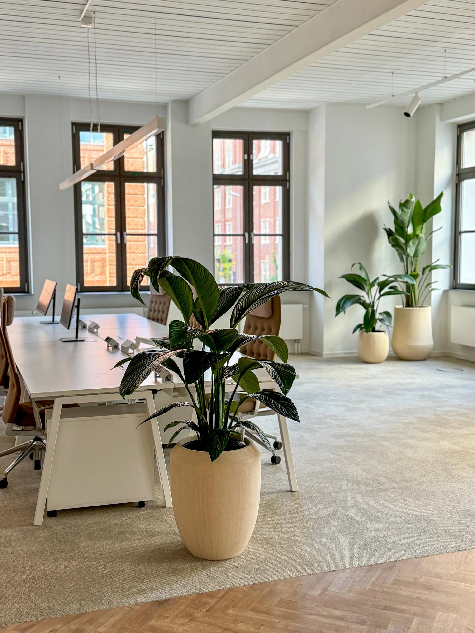 office_first.jpg