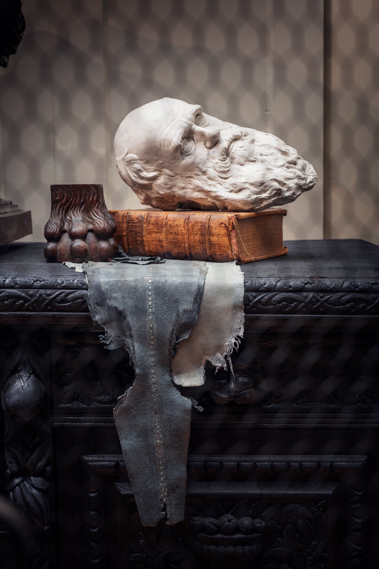 A tribute to Art, Nature and Charles Darwin. Photo: © Tim Mintiens