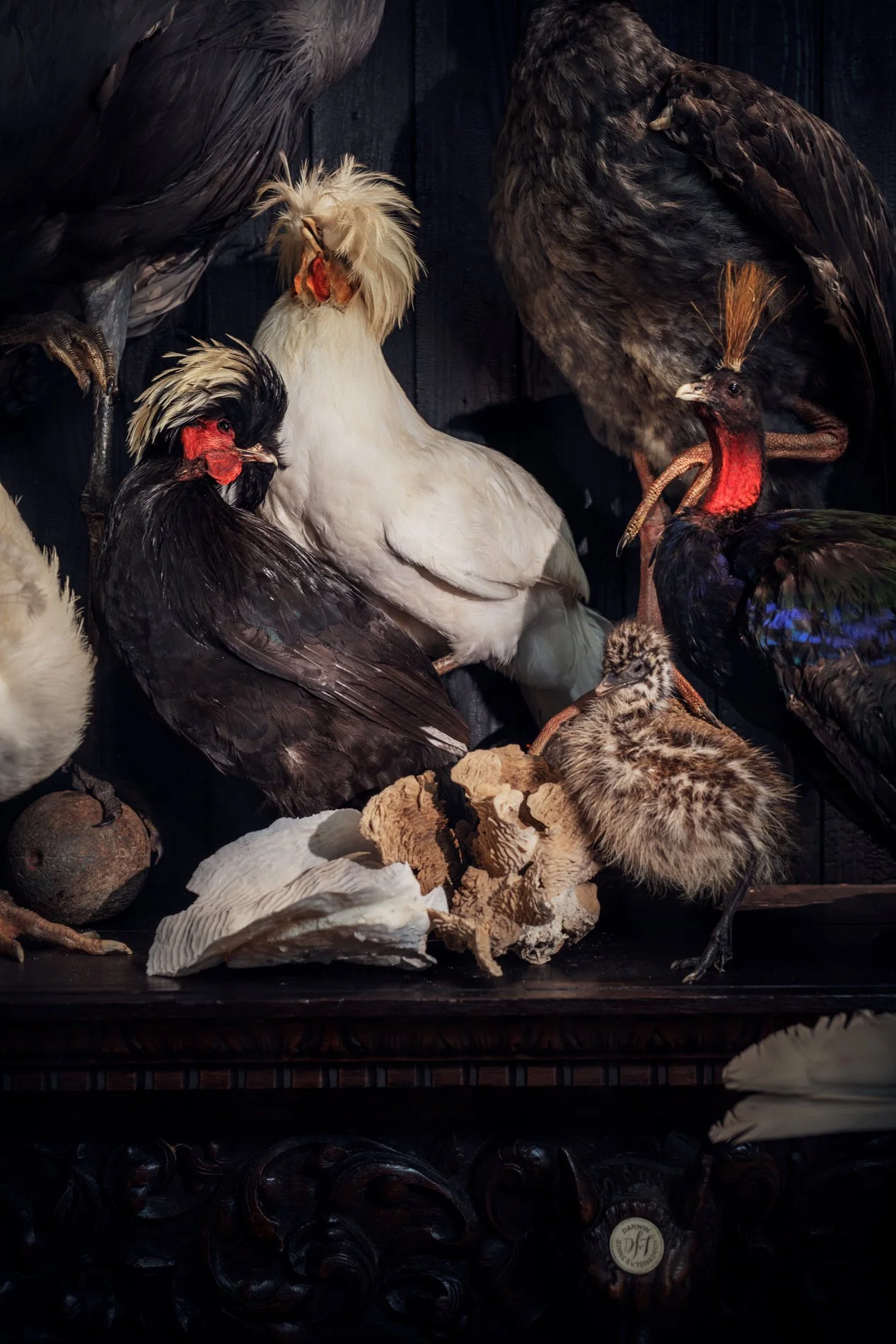 Detail of a tableau inspired by 17th century paintings. Photo: © Tim Mintiens