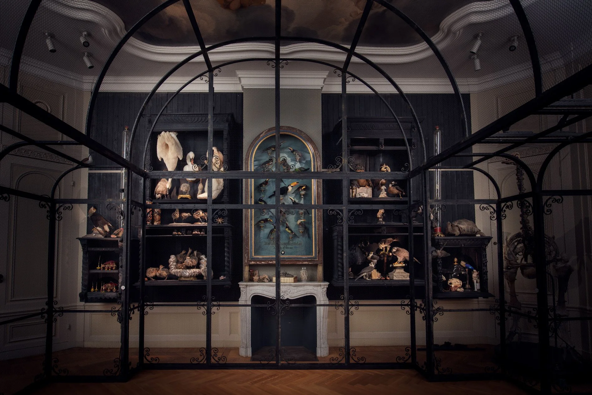 The visitors walk through giant birdcages. All the animals are on the outside. Roles reversed. Photo: © Tim Mintiens