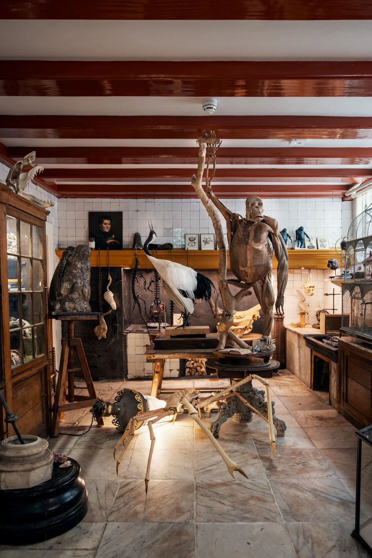 'Darwin's workshop’, an installation housed in the original 17th century kitchen. Photo: © Tim Mintiens