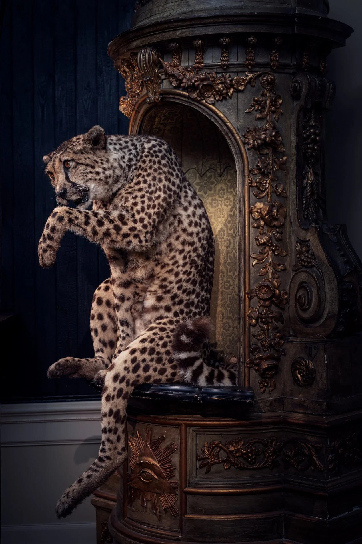 A cheetah, perched on an antique shrine, observes the visitors. Photo: © Tim Mintiens