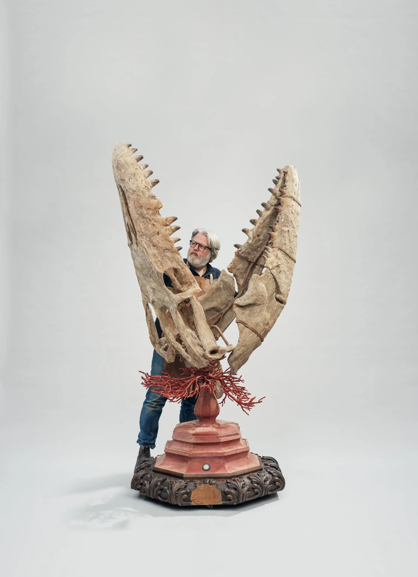 Jaap Sinke with Mosasaurus skull. Photo: © Tim Mintiens