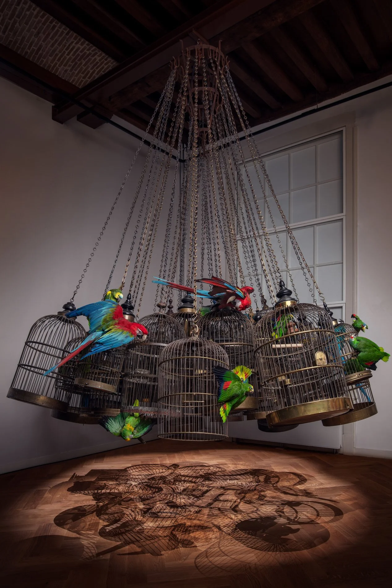 At the entrance over 20 parrots spread their wings on the outside of dozens of antique birdcages. Photo: © Tim Mintiens