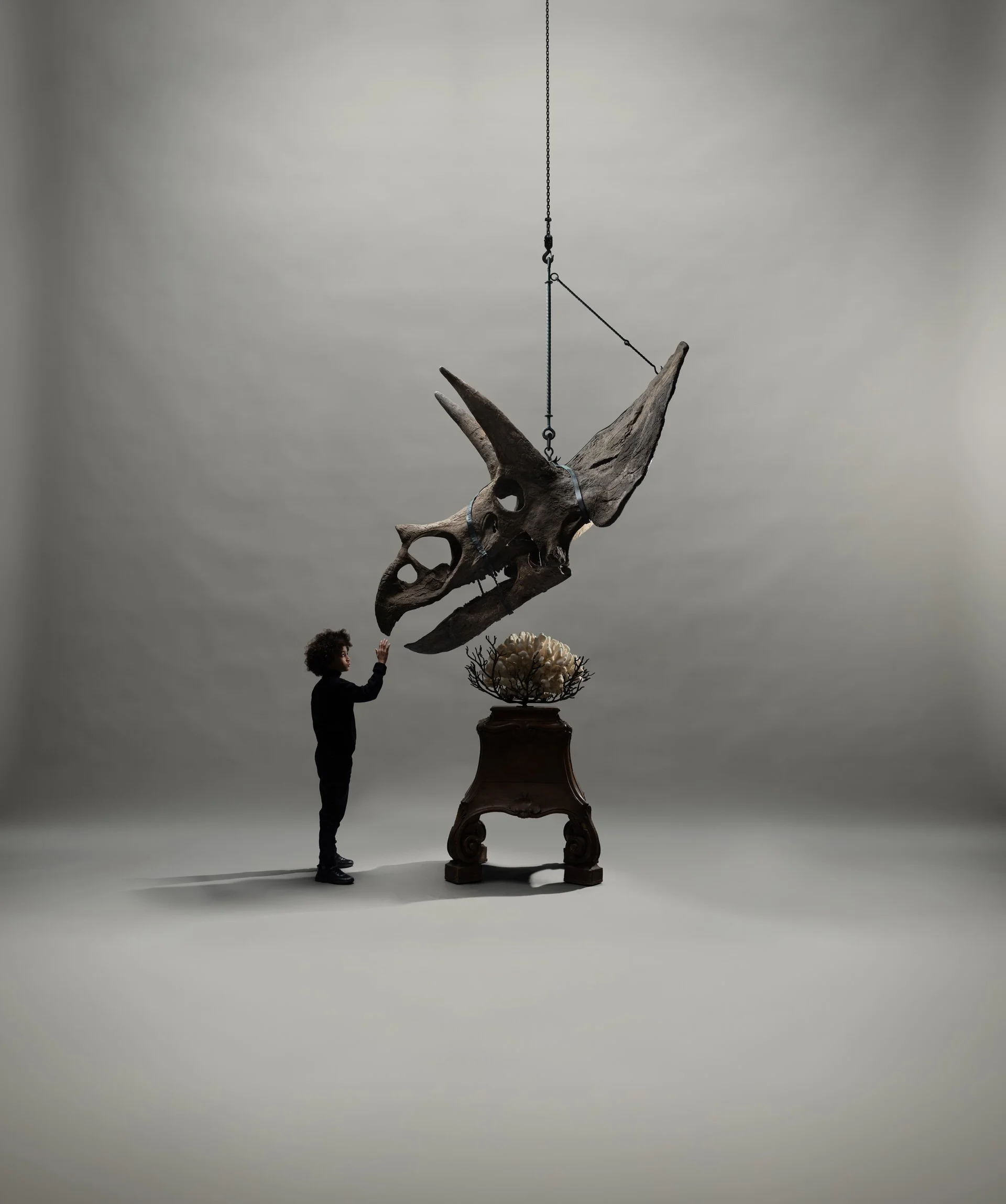 Boy with triceratops head Photo: © Tim Mintiens