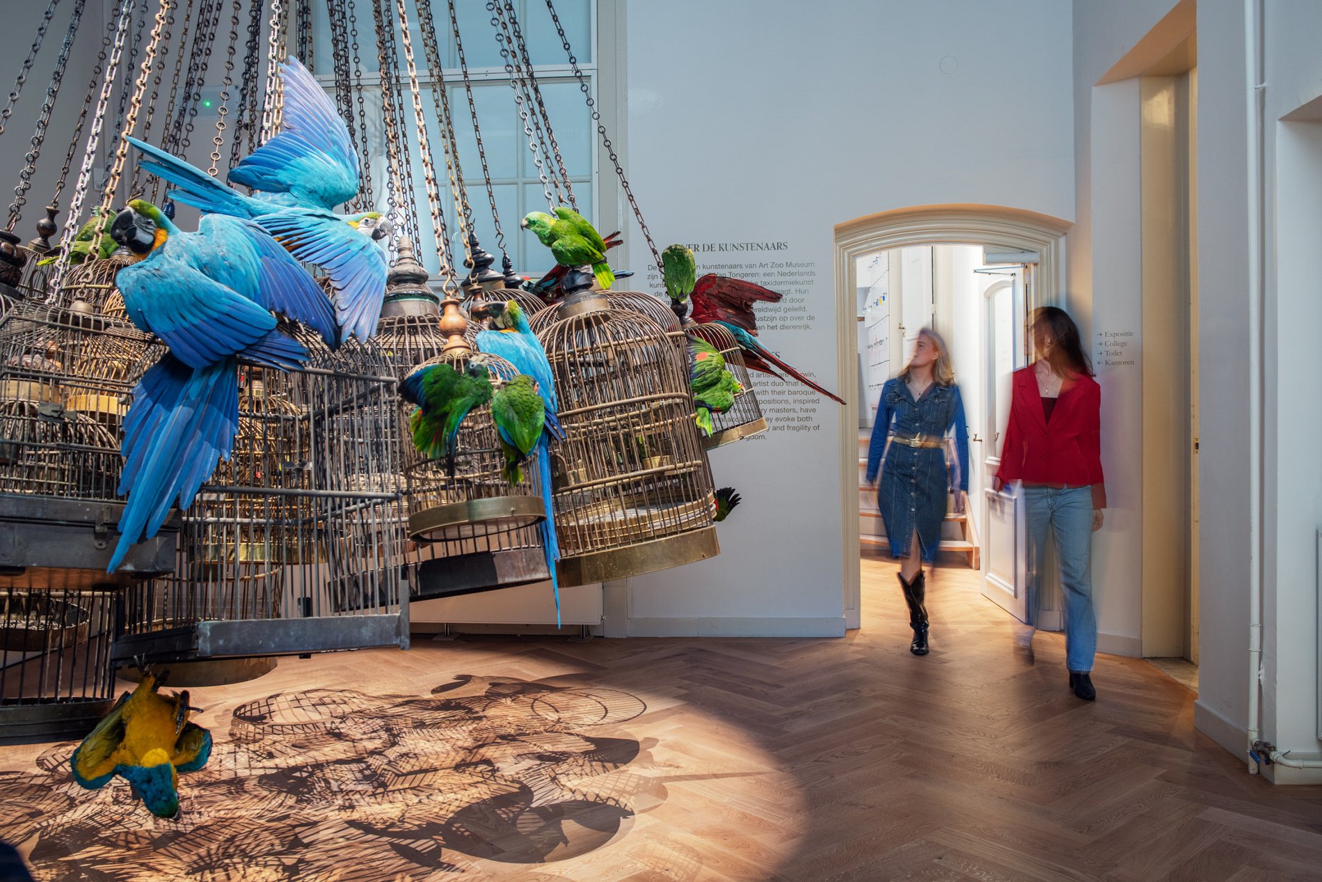 At the entrance over 20 parrots spread their wings on the outside of dozens of antique birdcages. Photo: © Tim Mintiens