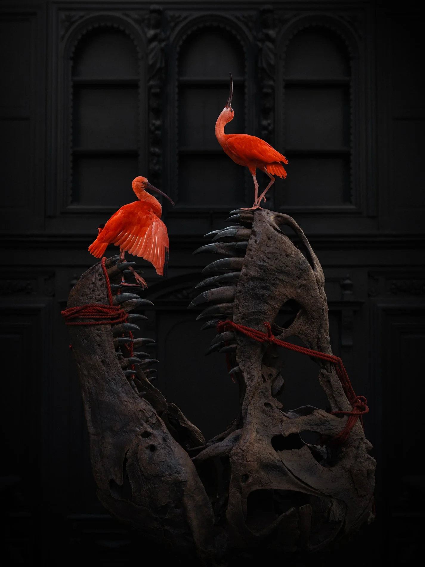 Key visual created for Art Zoo Museum posters. A T-Rex and two Scarlet Ibises. Photo: © Darwin, Sinke & van Tongeren