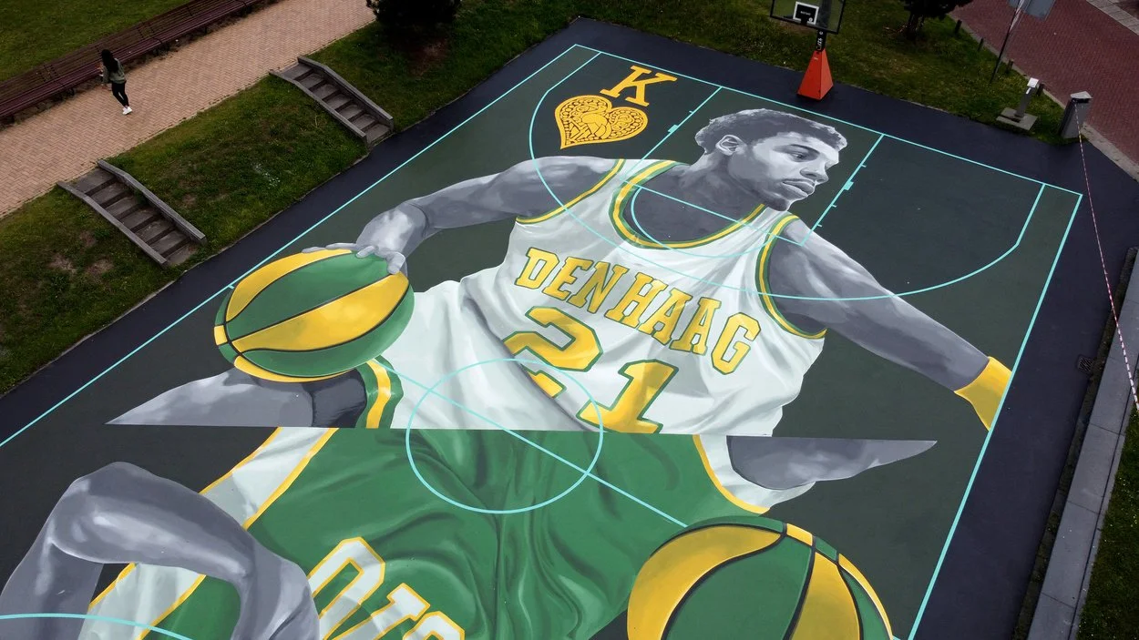 Dreamcourt basket bane