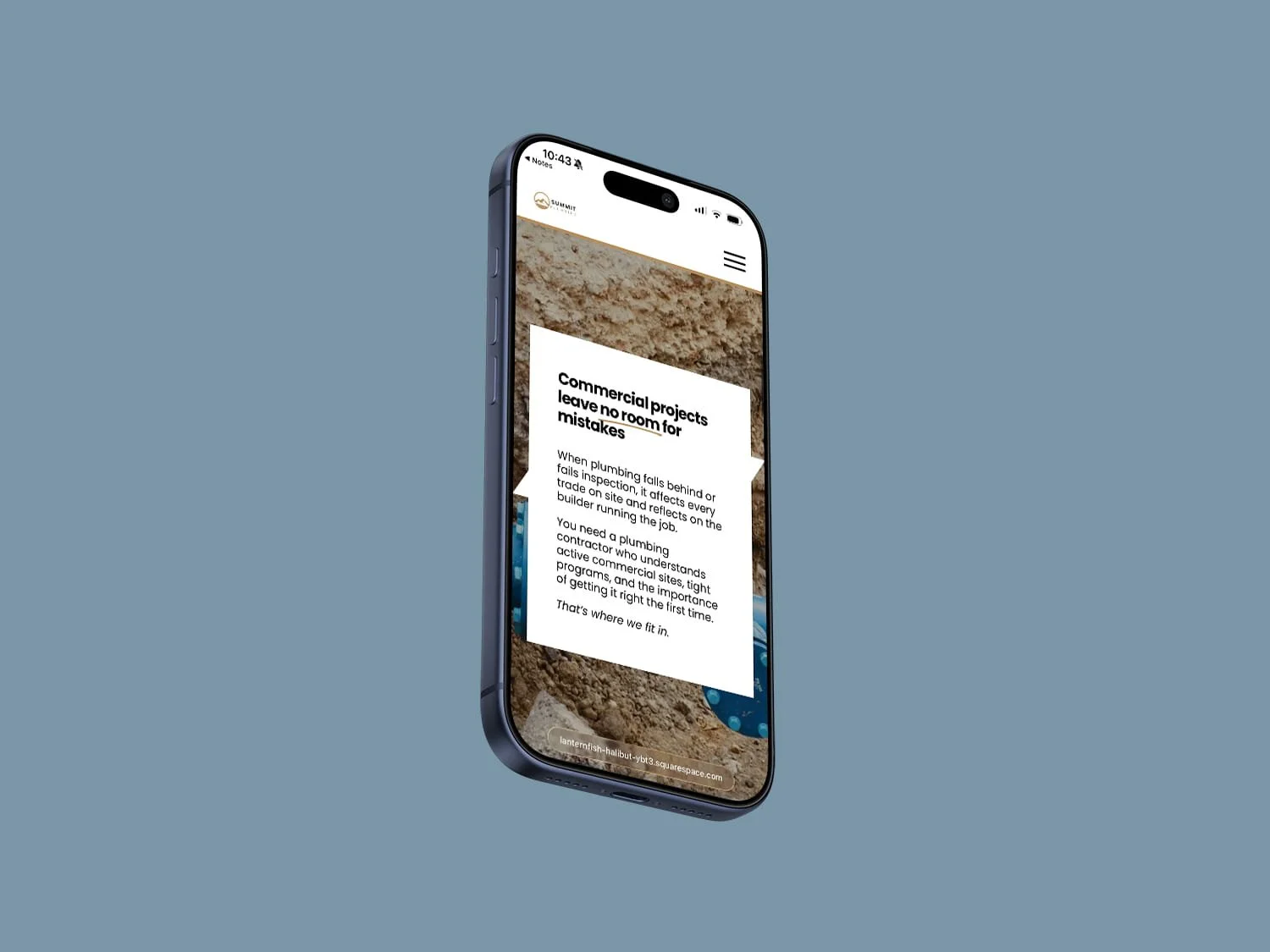 Floating iPhone mockup displaying the services page of a plumbing website structured as a professional tradie website.