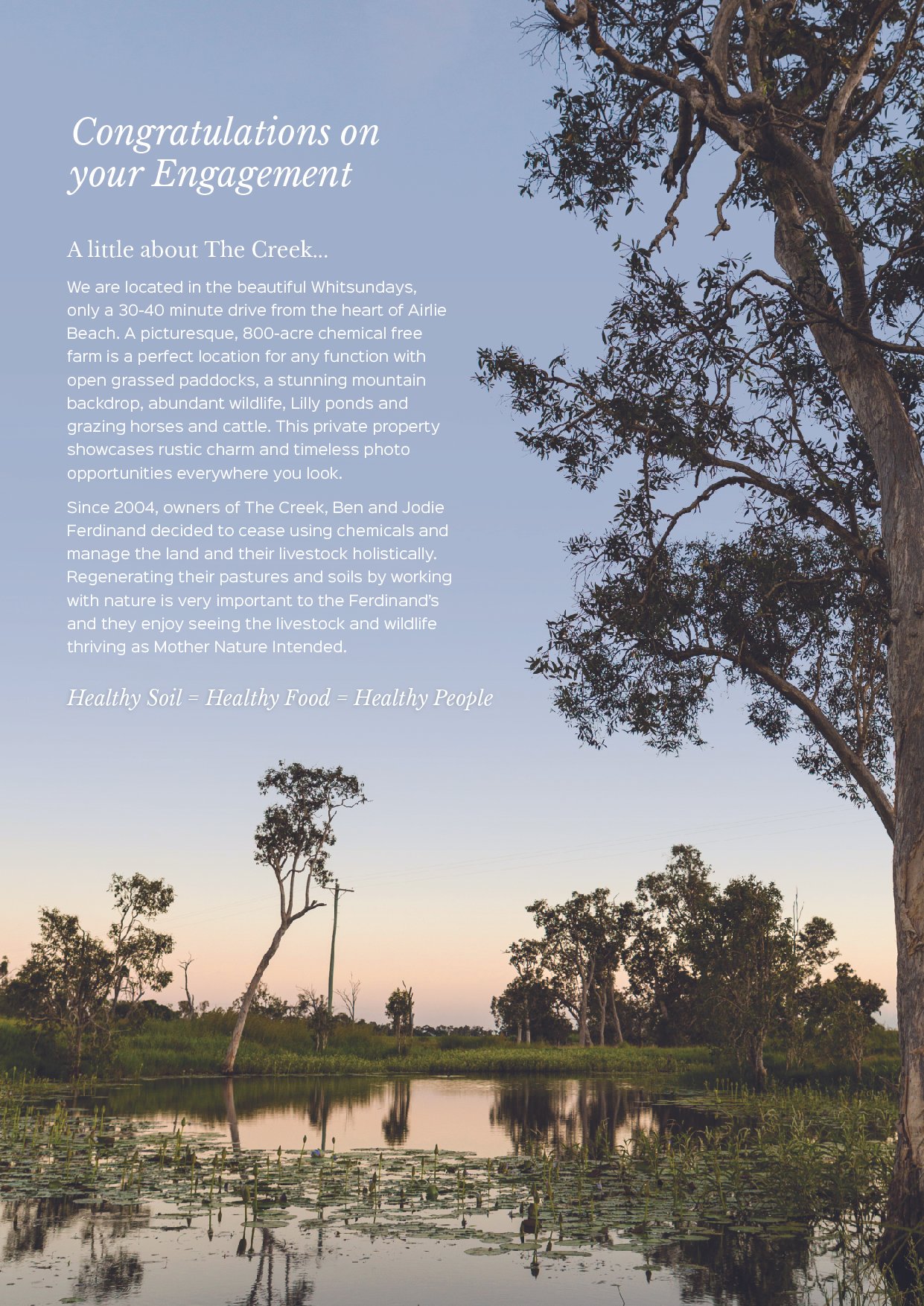 The Creek 3.jpg