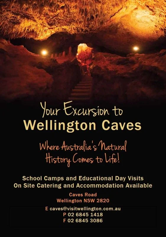 Wellington Caves 1.jpg