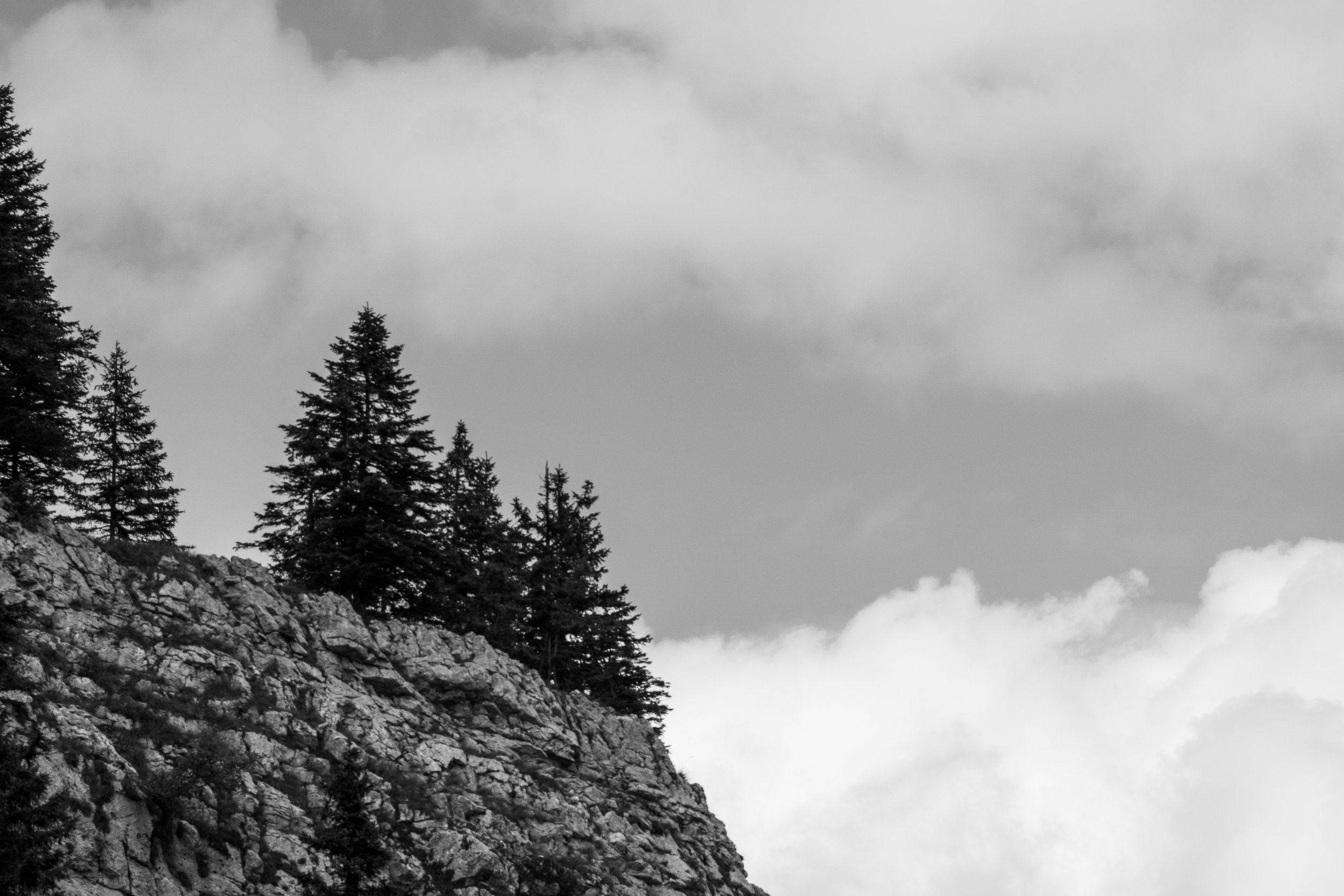 DSC02685 (2).jpg