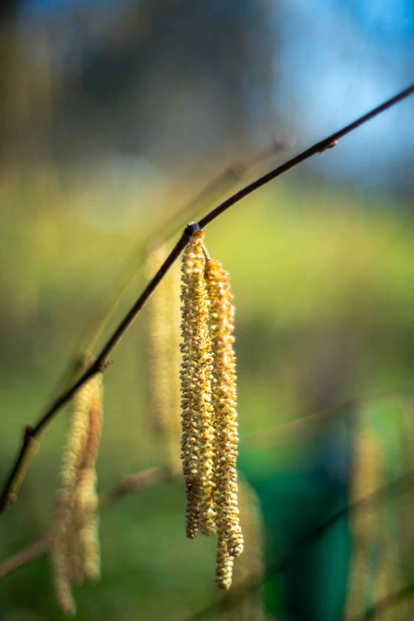 AR301013-2.jpg