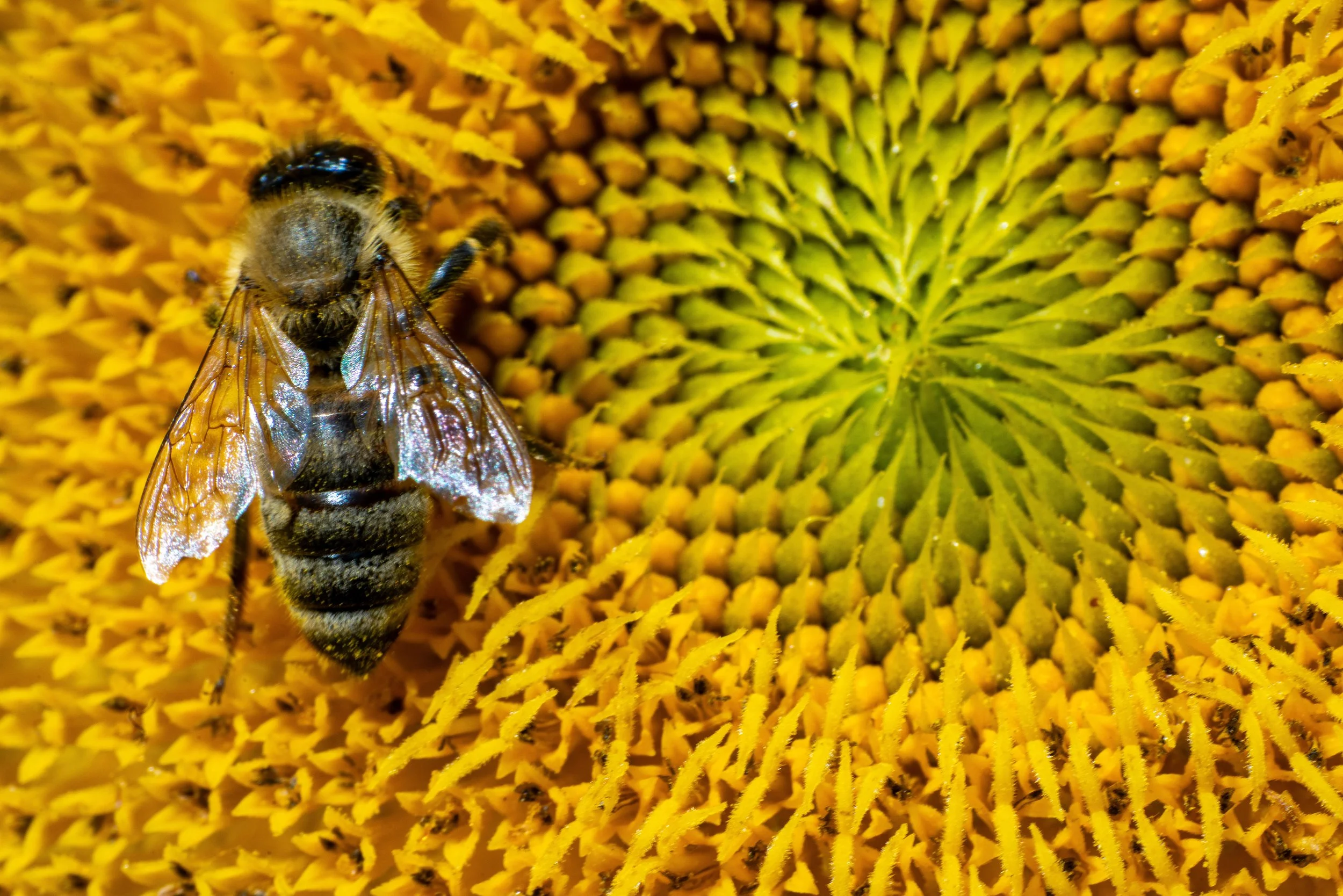 AR309138-2.jpg