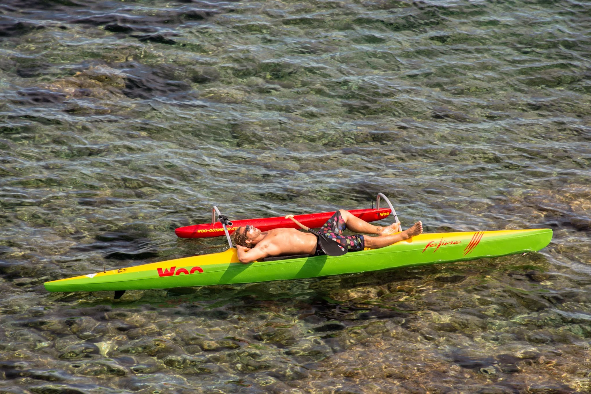 Pourquoi WOO ne suit pas la course à la légèreté?