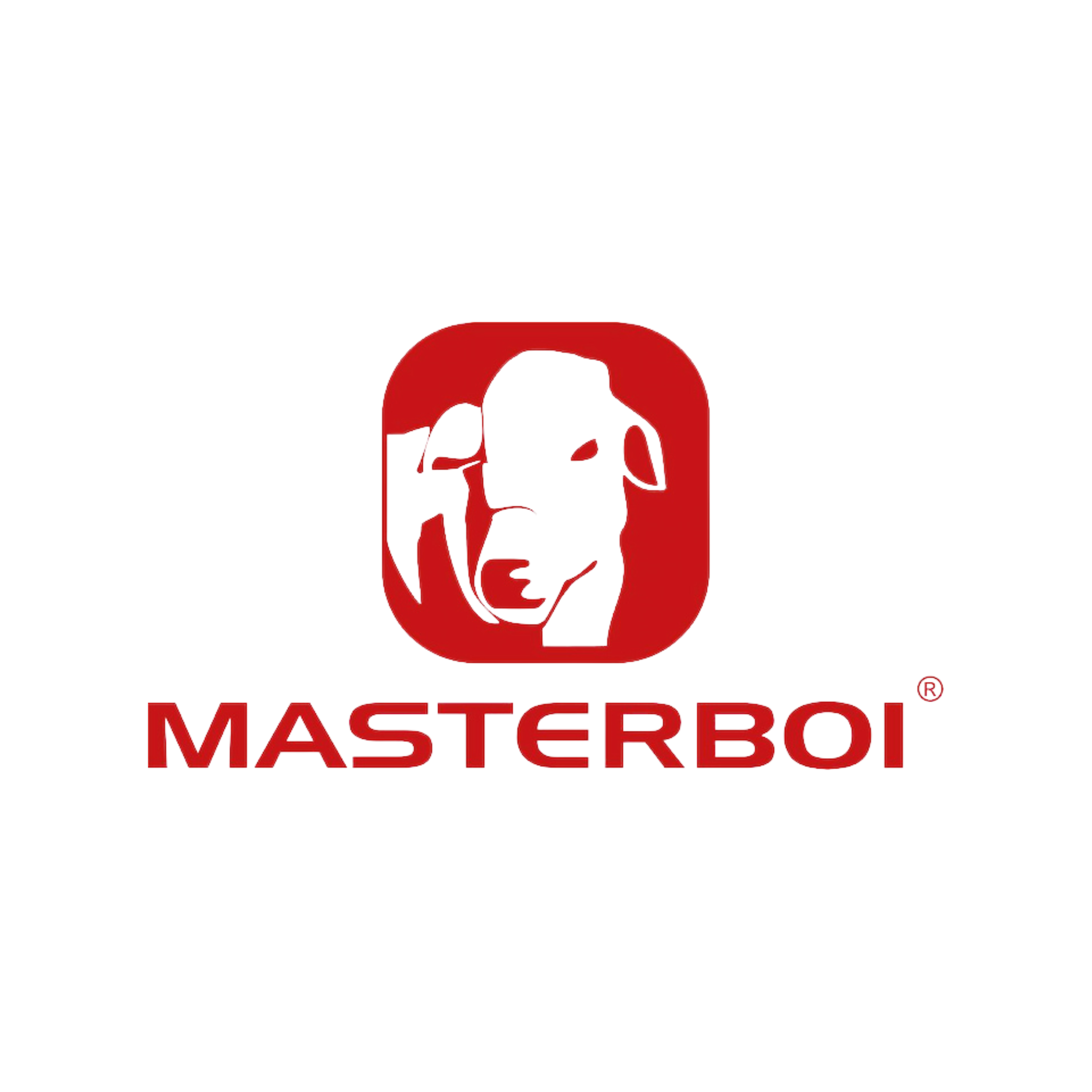 MasterBoi