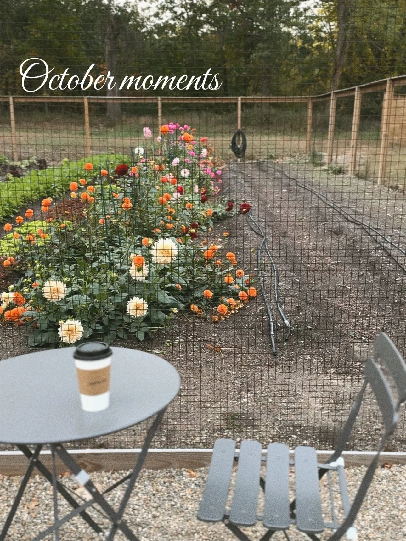 October moments: a recap 🍂