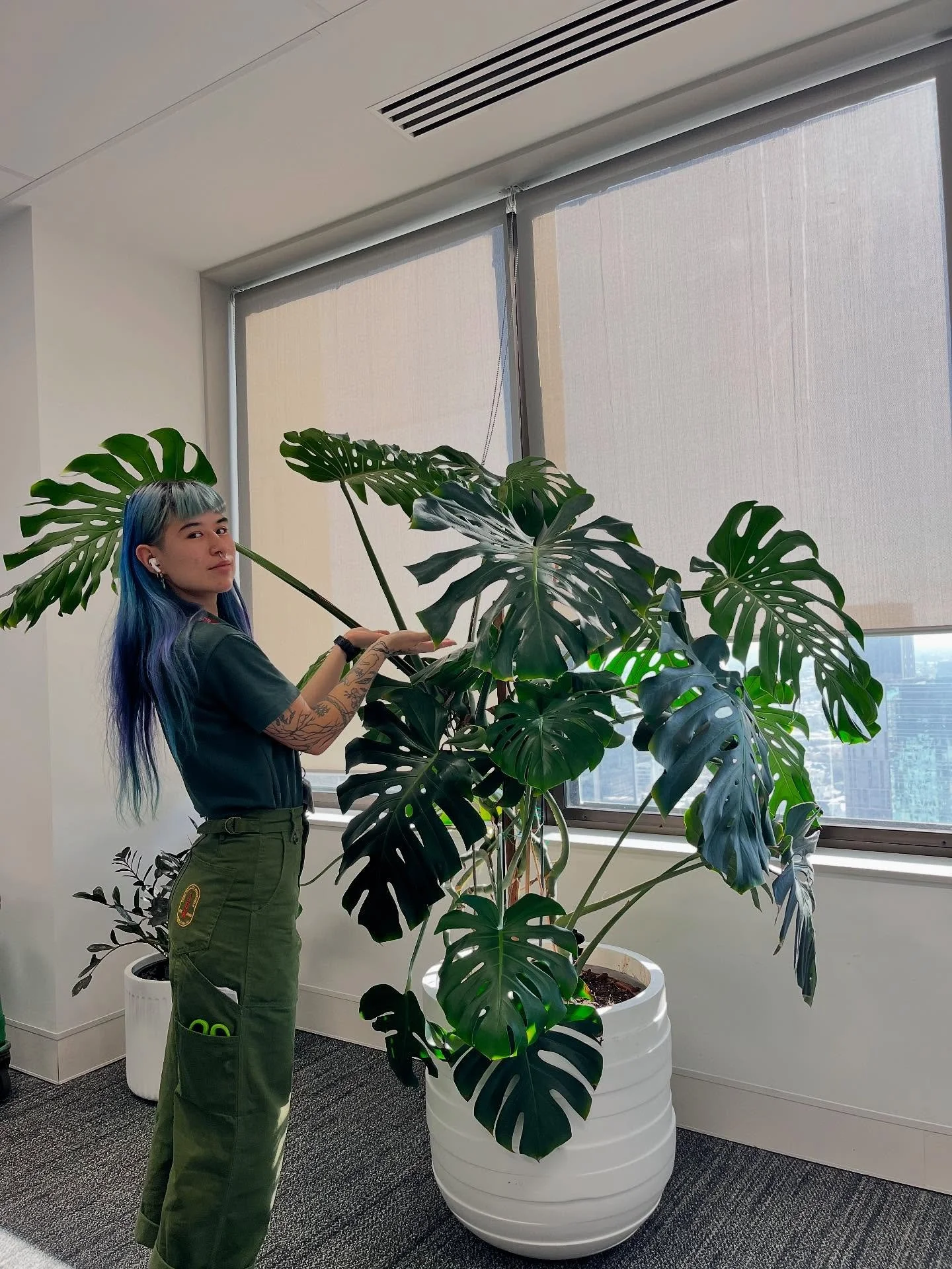 Shhhhhhh&hellip;.. this one is my favourite Monstera. now please don&rsquo;t tell the others 🤫🤭