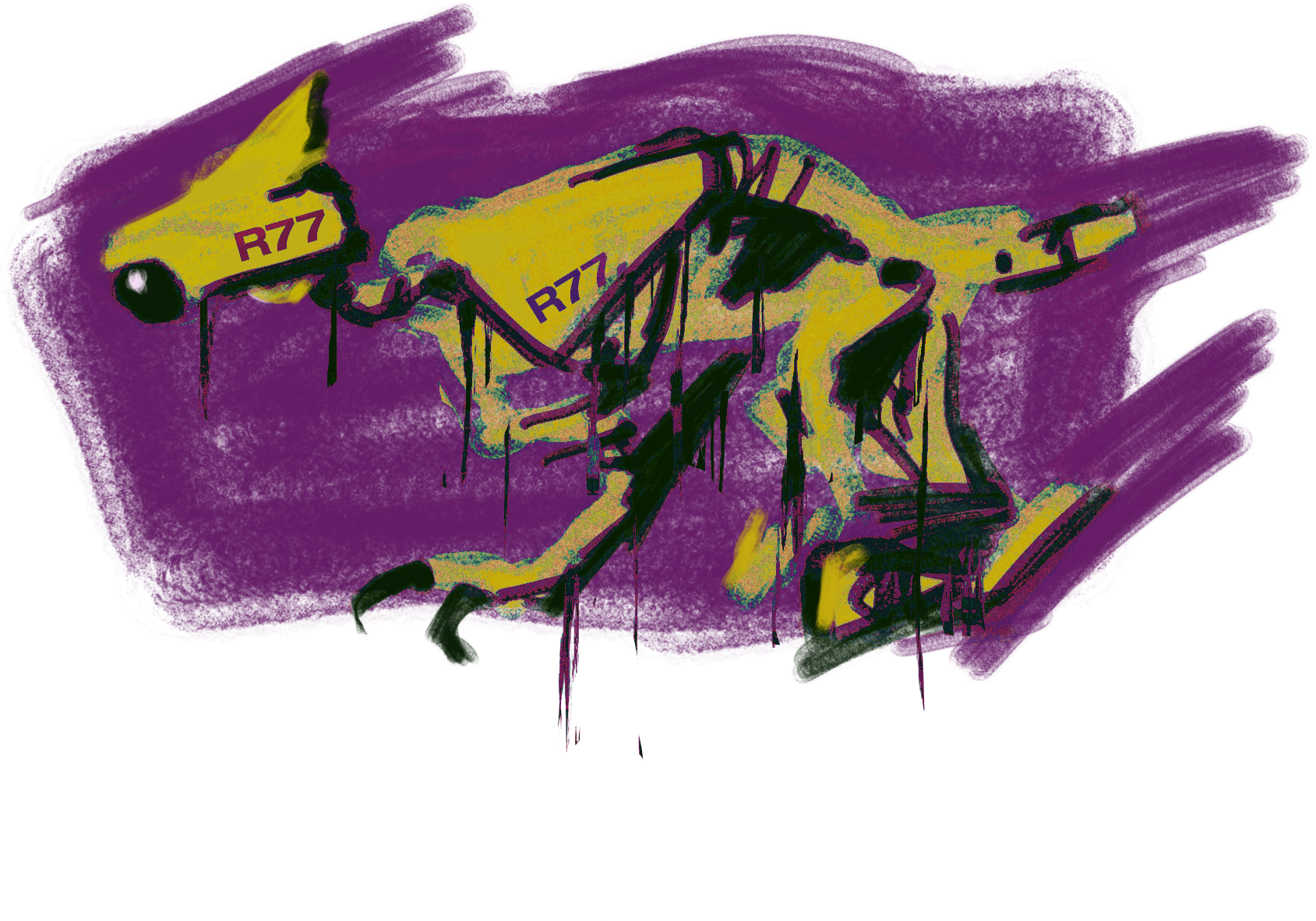 R77 copy.png