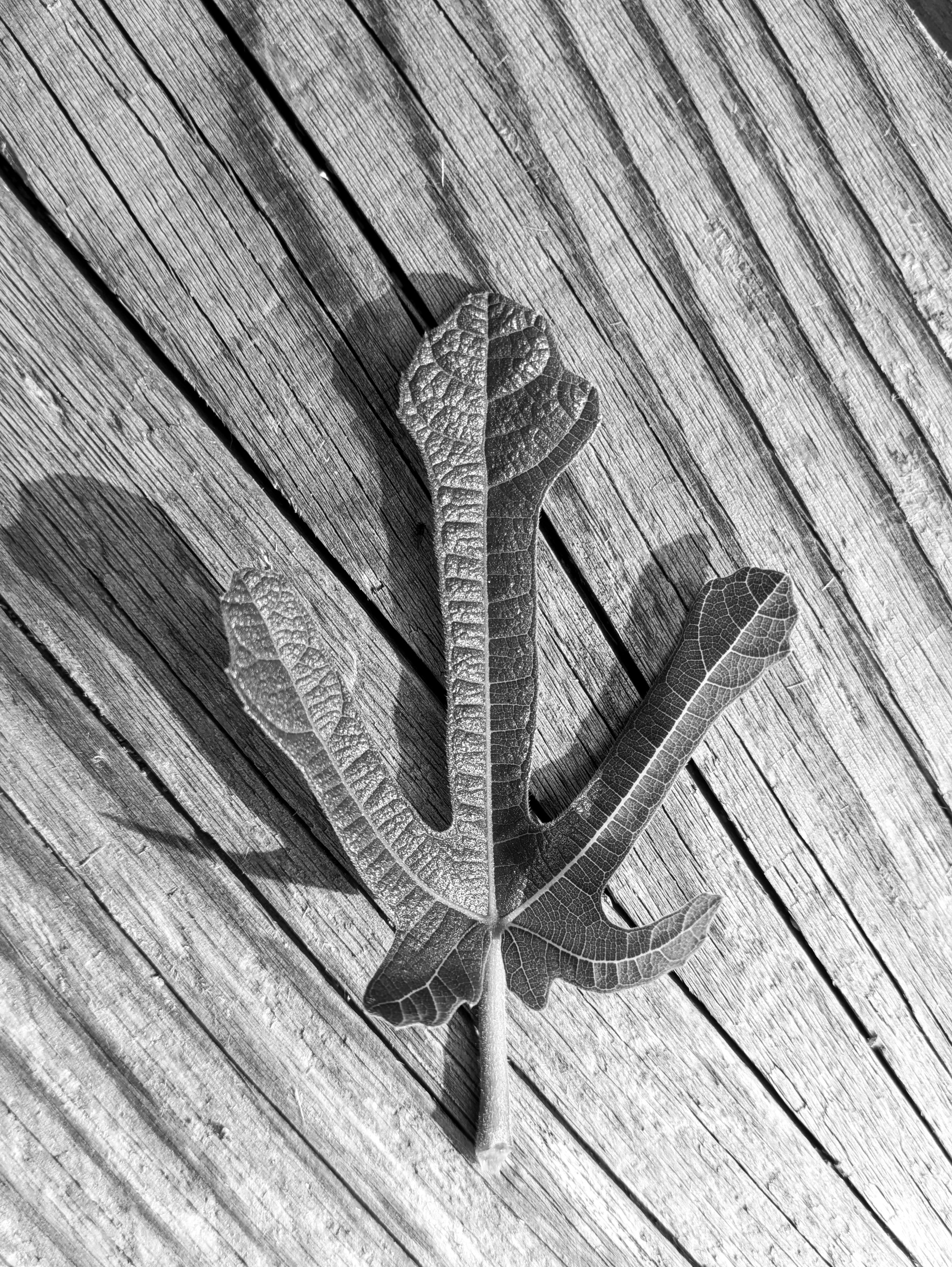 PXL_20260919_144428205.jpg