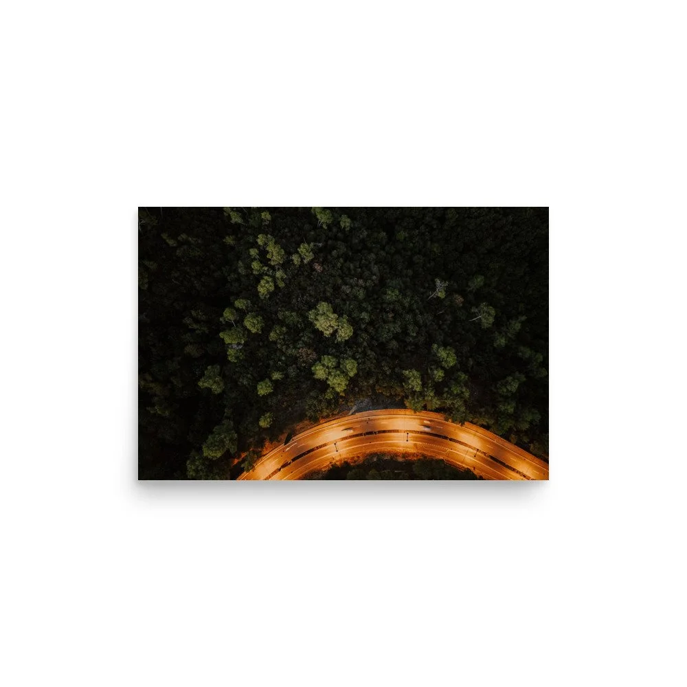 Courbe de lumière dans la forêt – Tirage d'art
