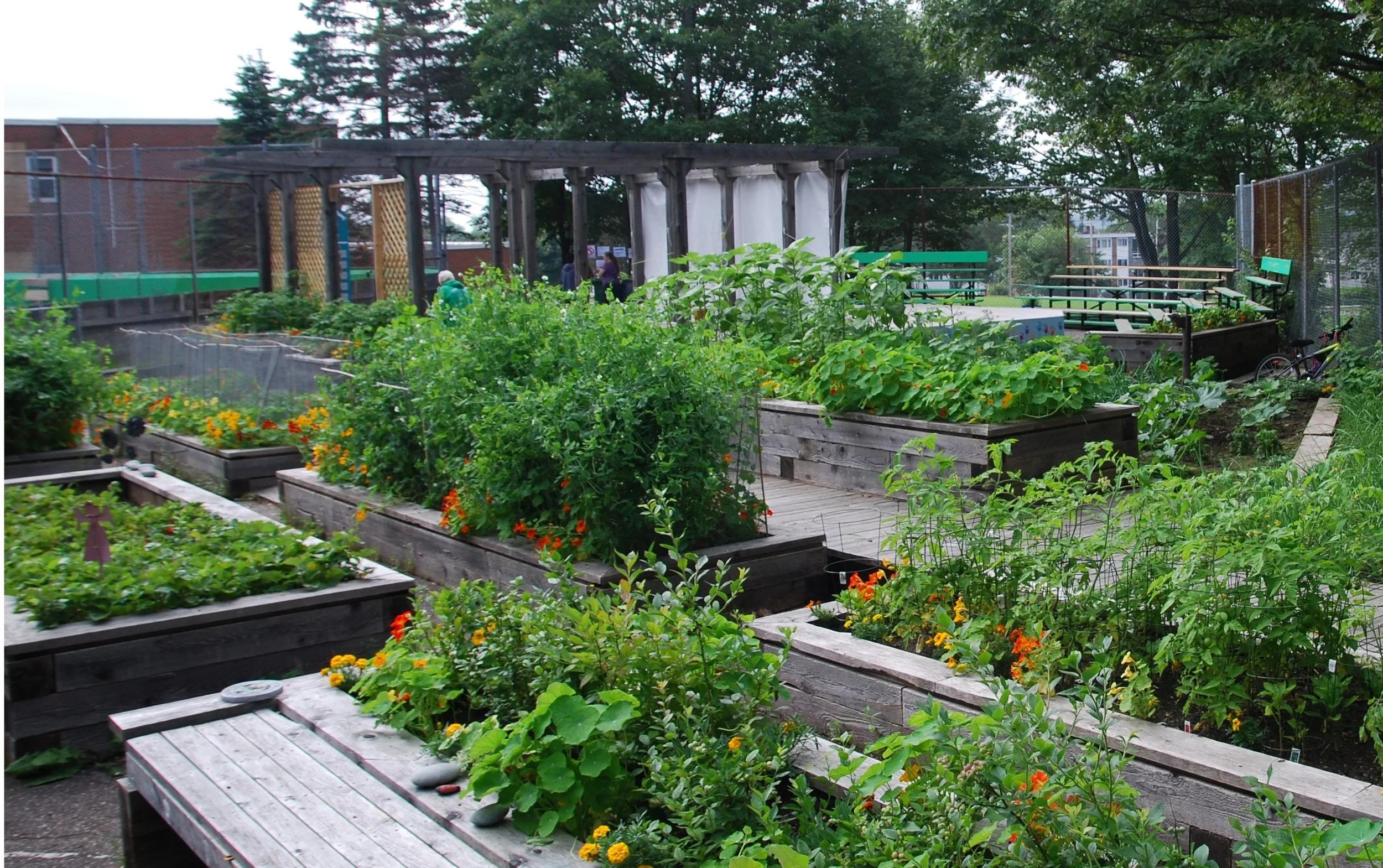 Garden Club: Community Gardens