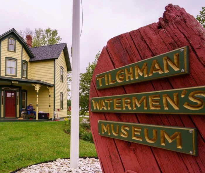 Tilghman Working Opening Reception