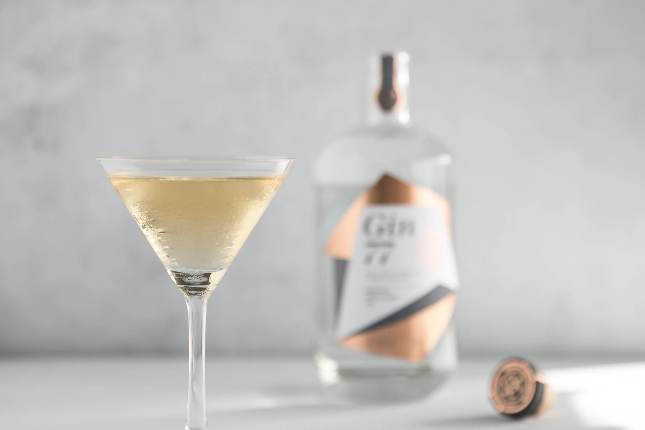 Bristol Distilling Co_Gin 77 martini-6.jpg