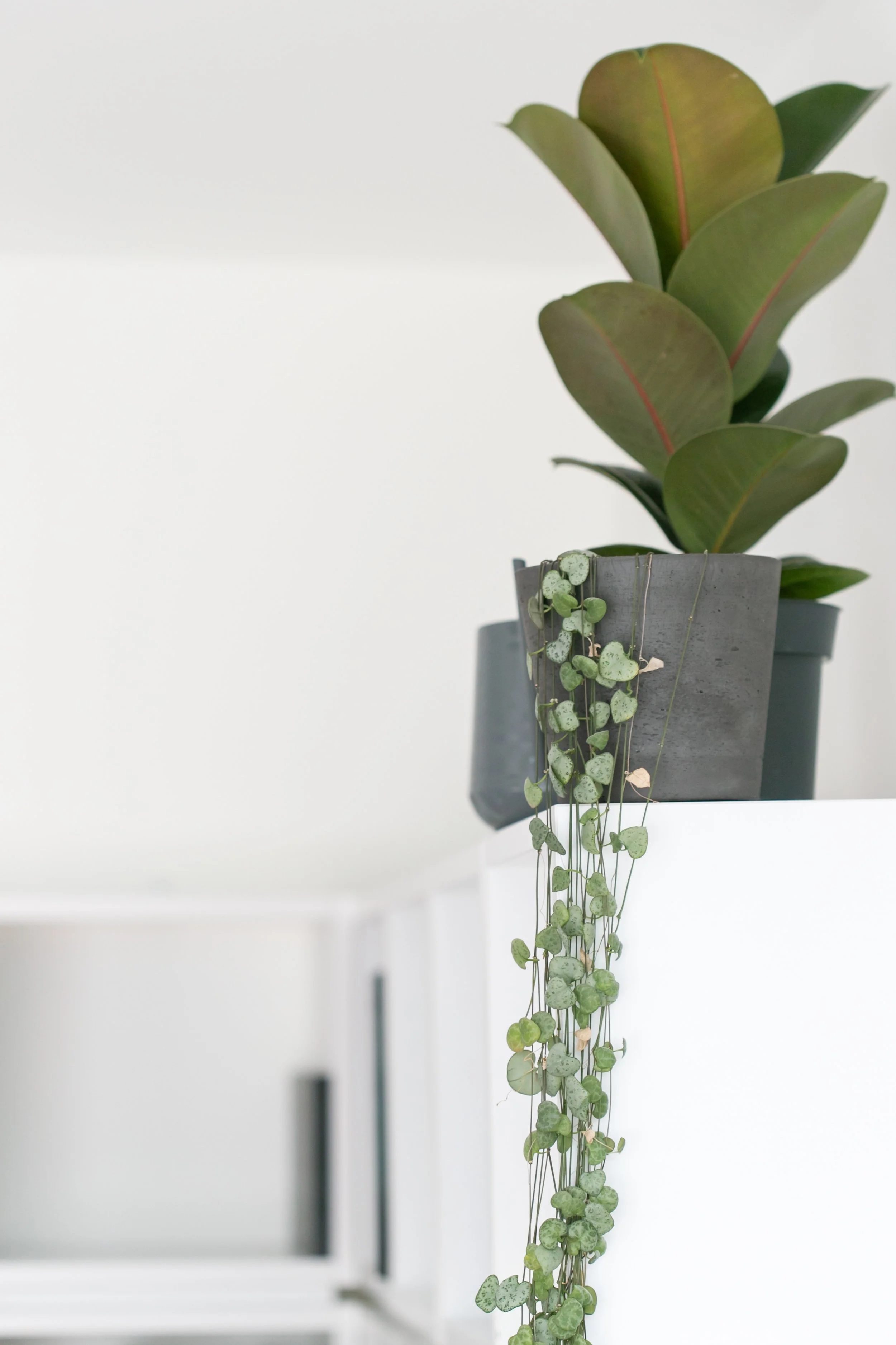 TME Interiors_Interior photography Bristol by Chloe Edwards-51.jpg