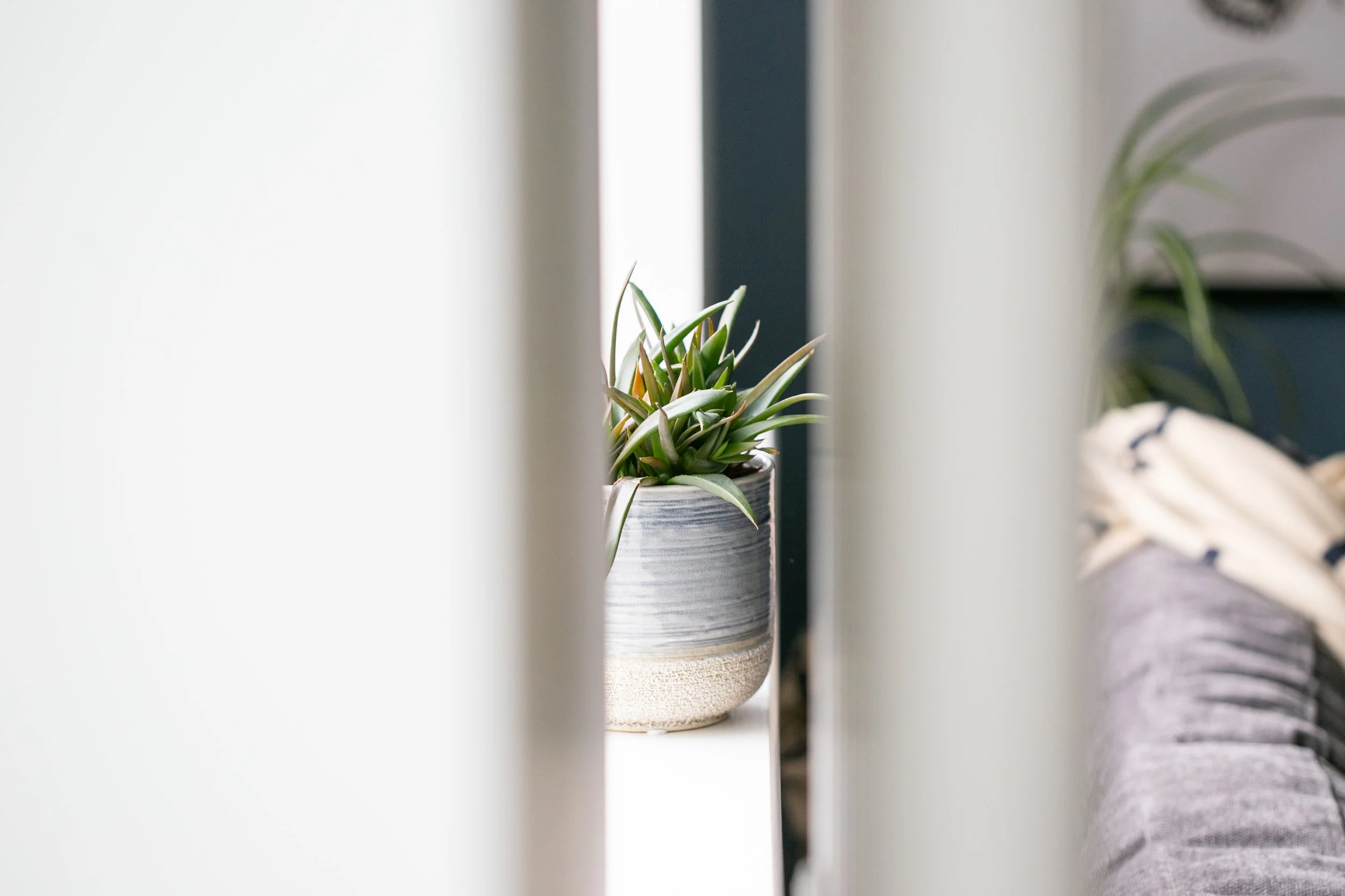TME Interiors_Interior photography Bristol by Chloe Edwards-100.jpg