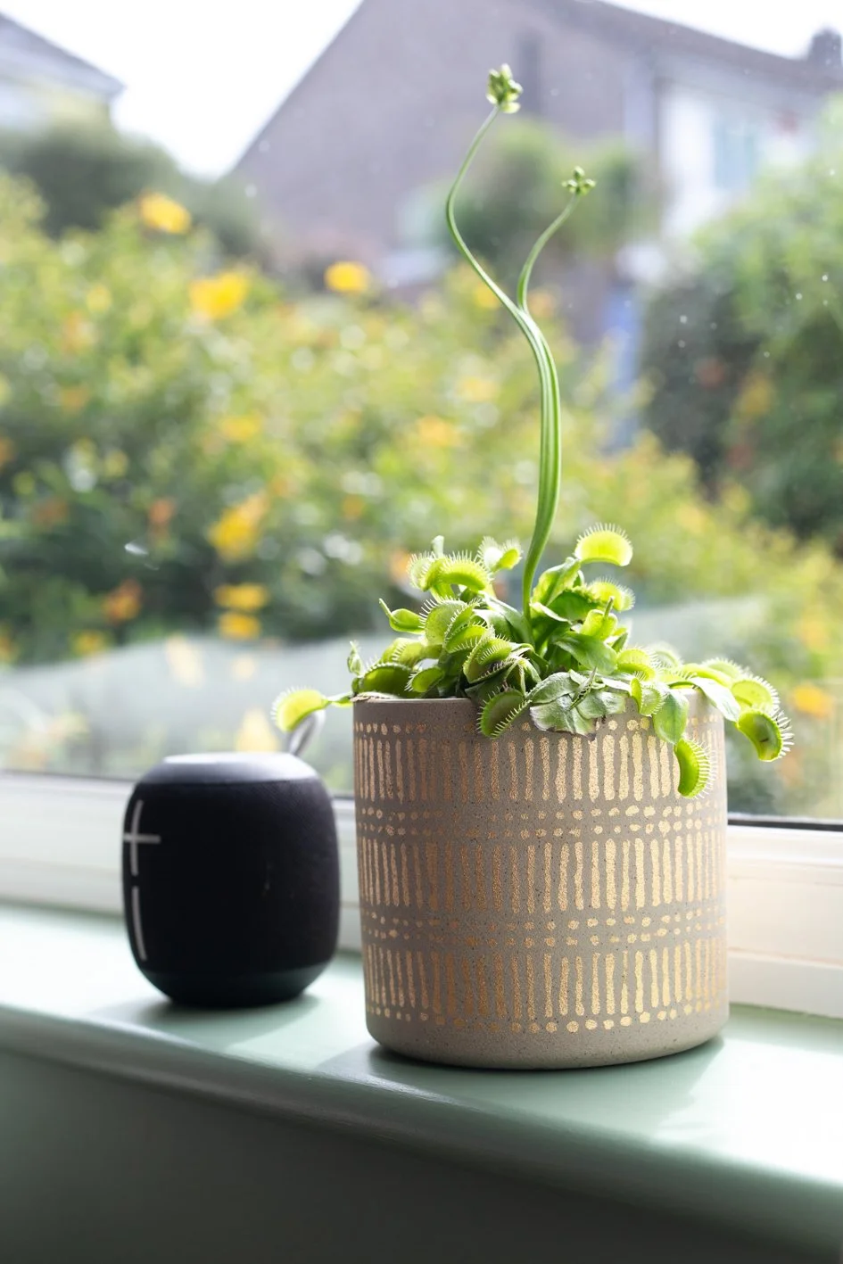 TME INTERIORS BS9 INTERIORS PHOTOGRAPHY BRISTOL 2024 @CHLOEANDCAMERA-13.jpg
