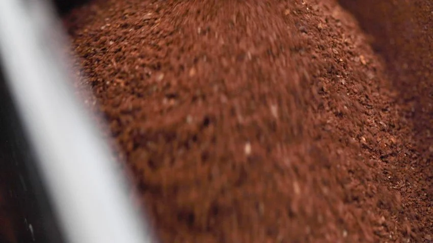 THE EM_stills from video_@chloeandcamera-11.jpg