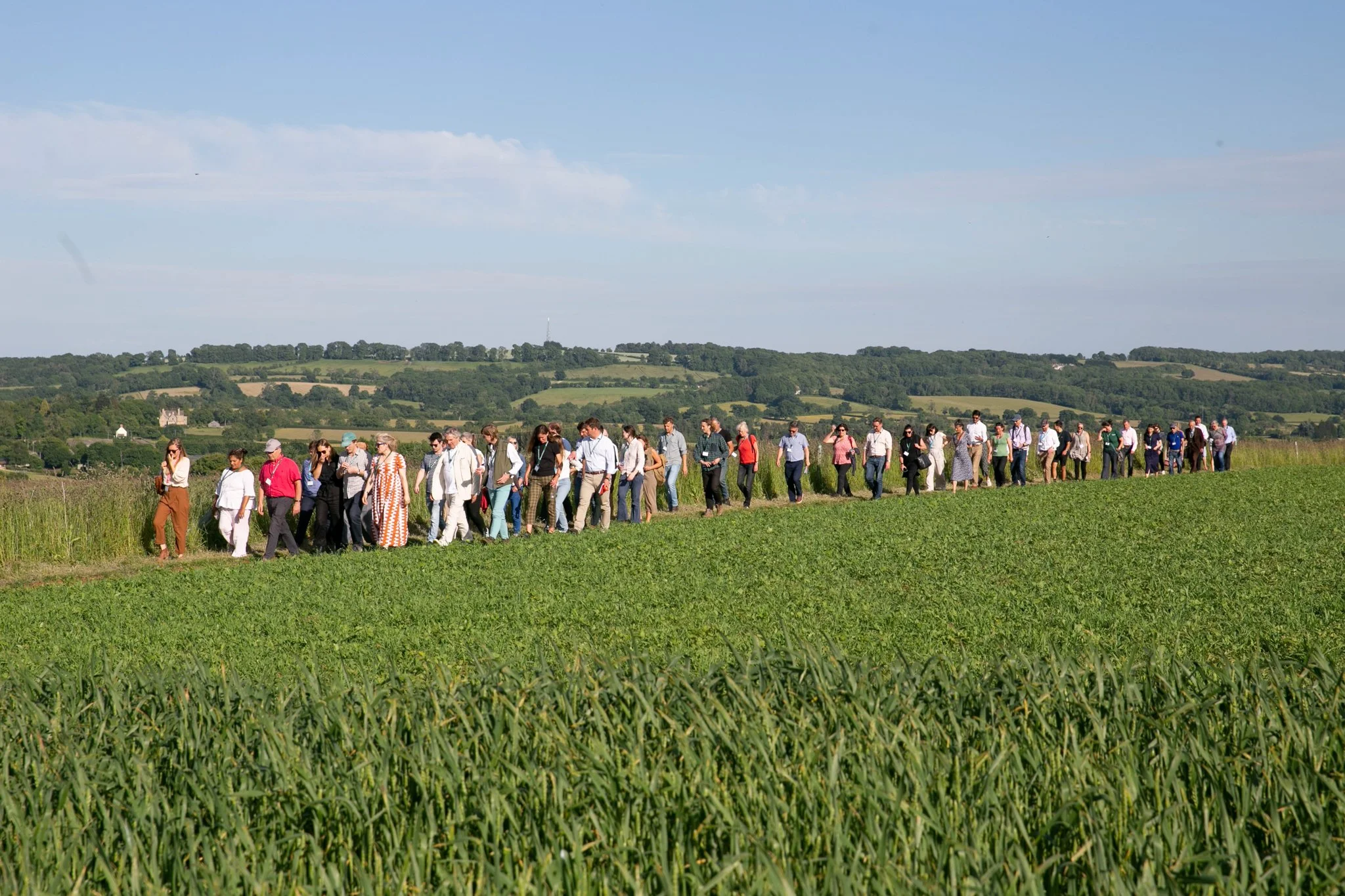 SWELL STUDIOS _SFT FUTURE OF FARMING-14.jpg