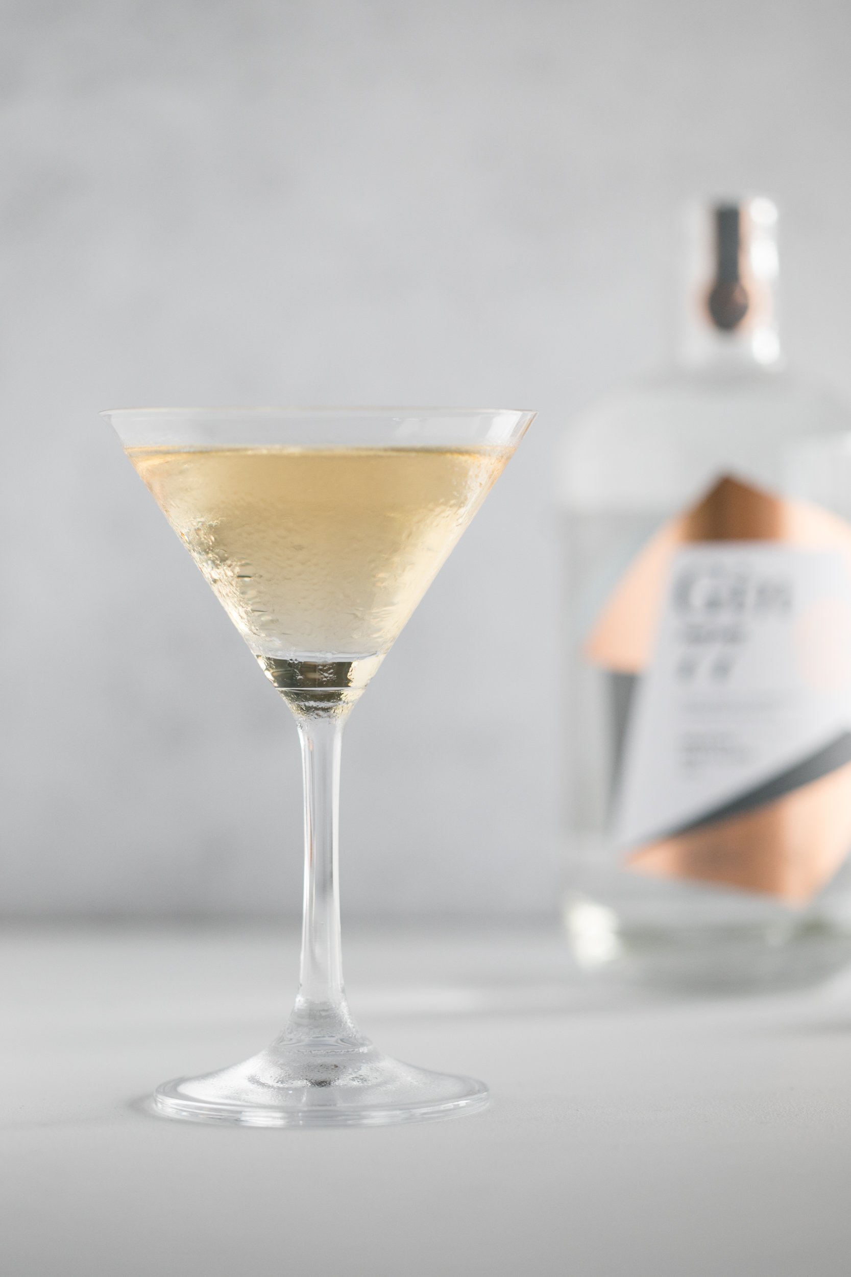Bristol Distilling Co_Gin 77 martini-9.jpg