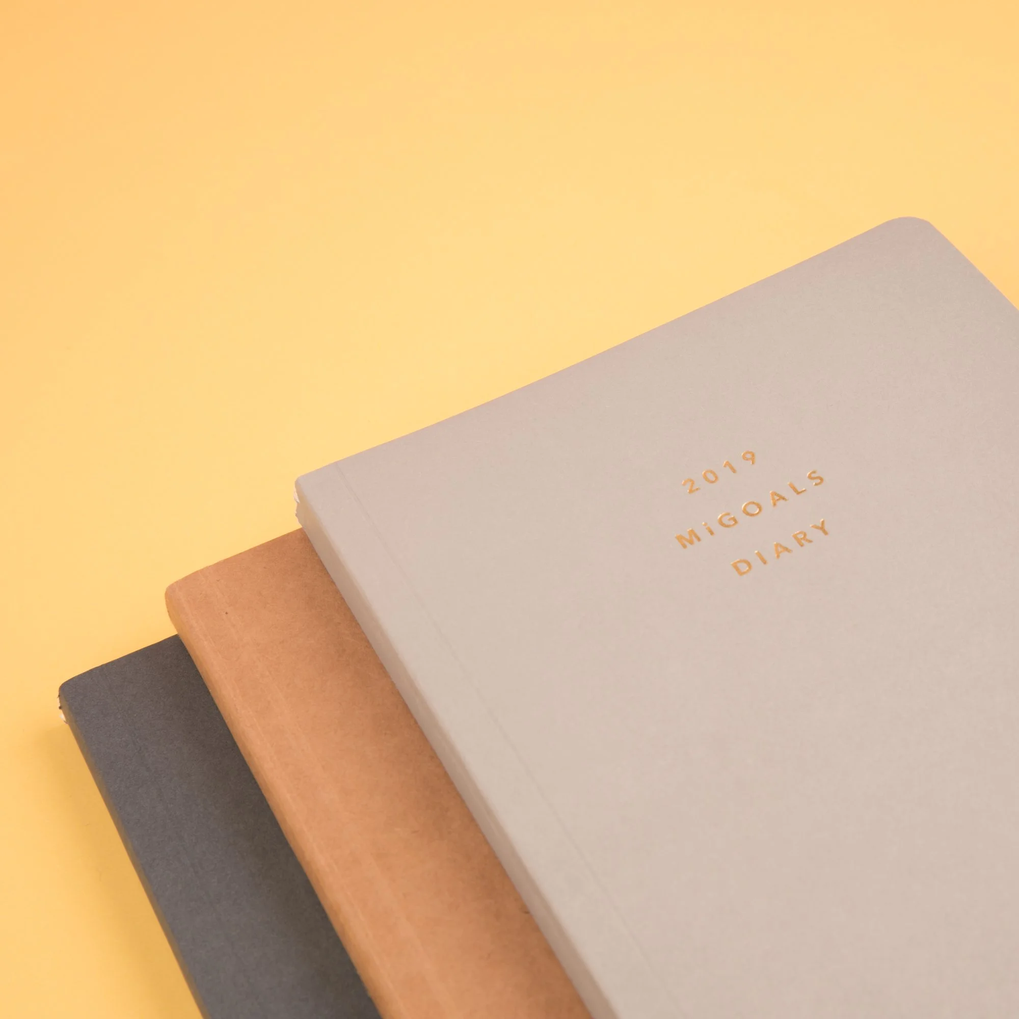 Insta_studio_mi goals diary 19 Dec 2018-4.jpg