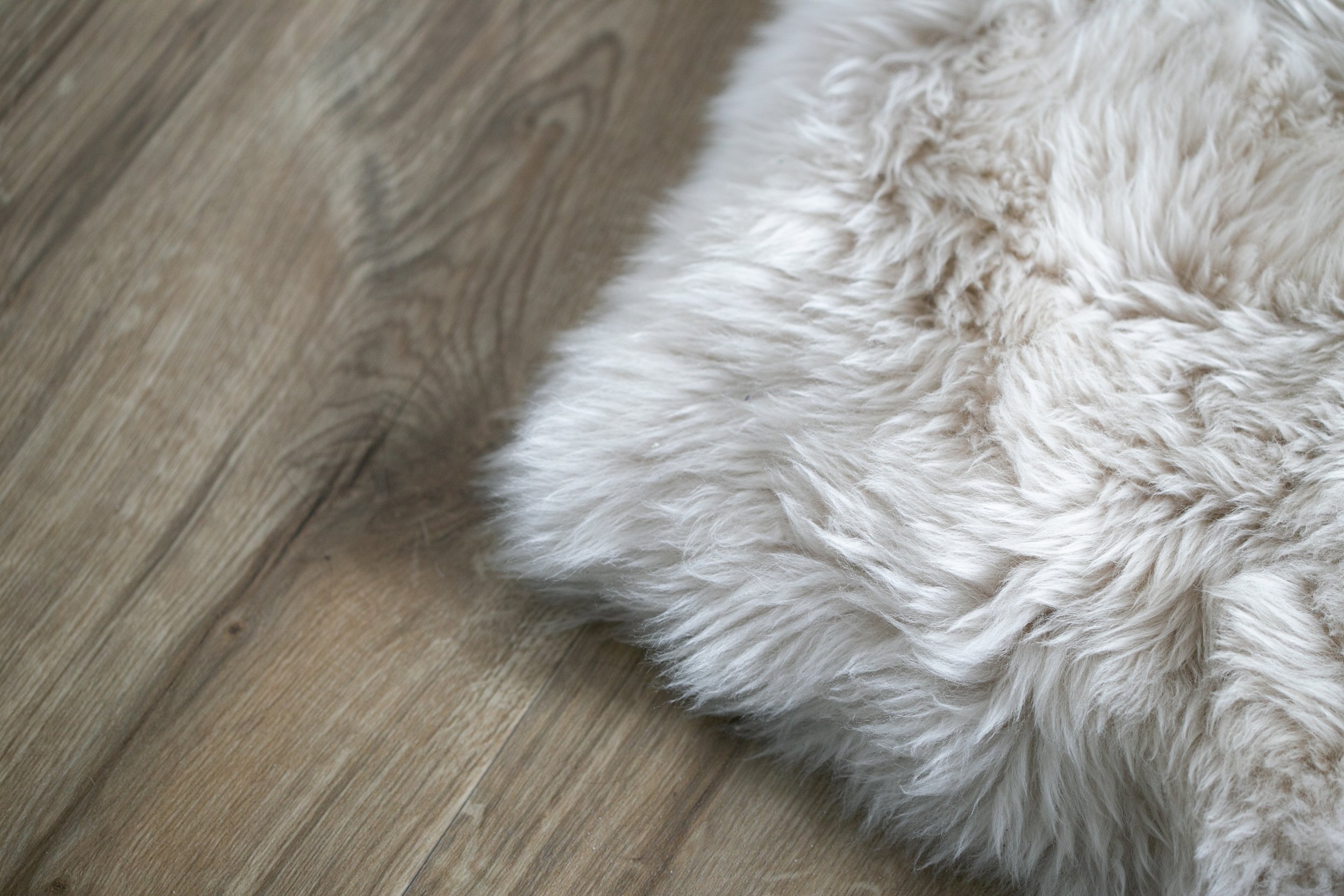 TME Interiors_Interior photography Bristol by Chloe Edwards-134.jpg
