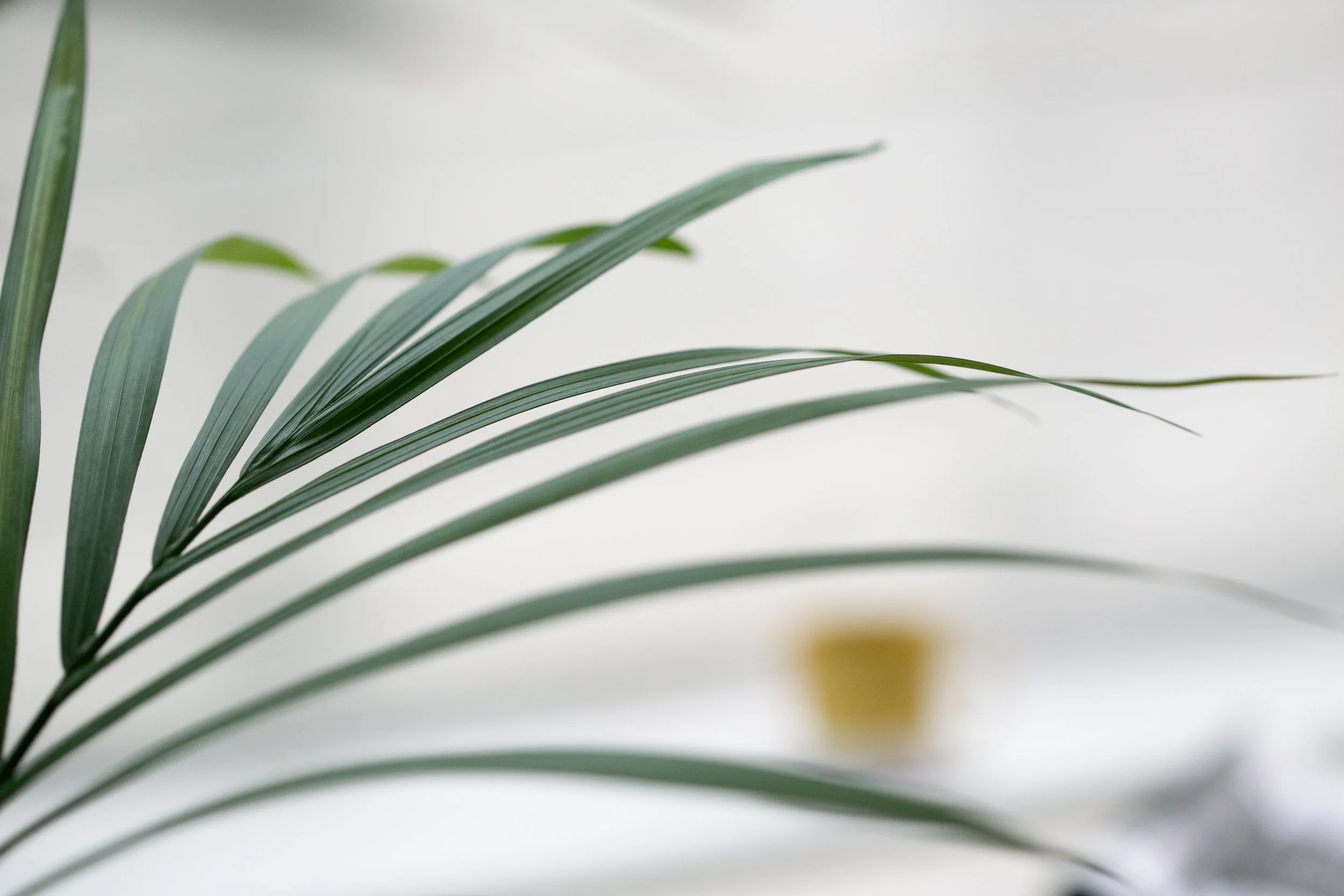 TME Interiors_Interior photography Bristol by Chloe Edwards-91.jpg