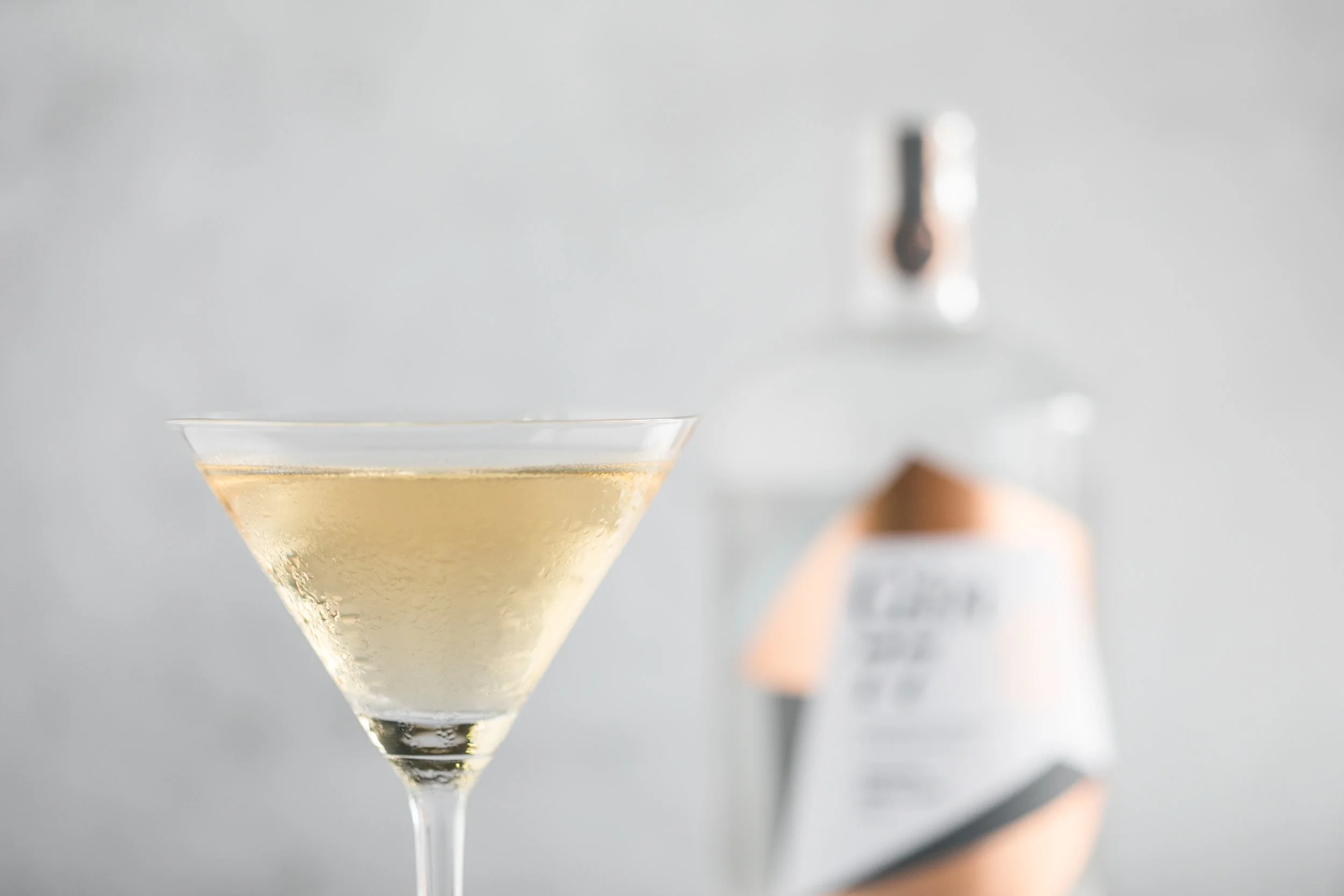 Bristol Distilling Co_Gin 77 martini-7.jpg