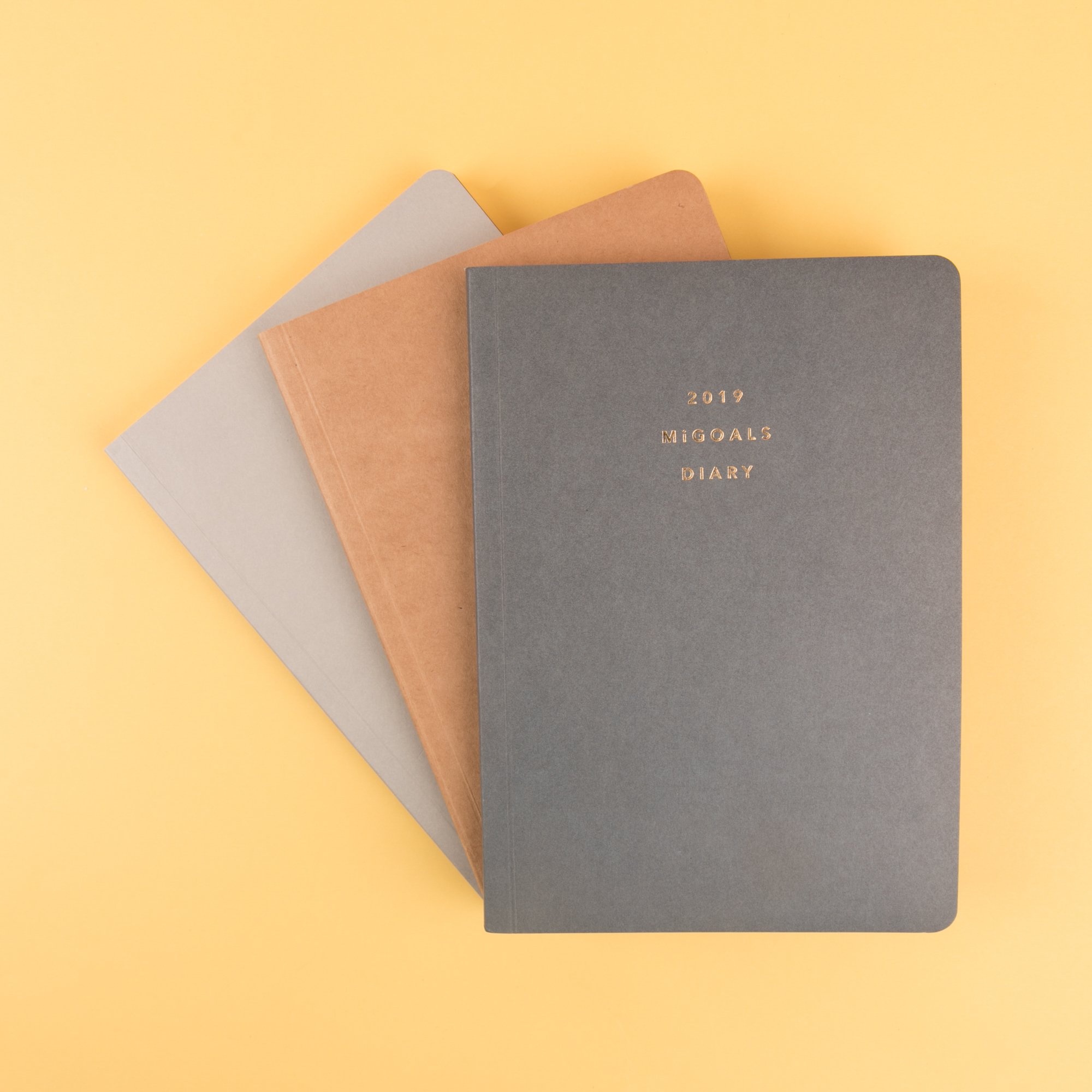 Insta_studio_mi goals diary 19 Dec 2018-1.jpg