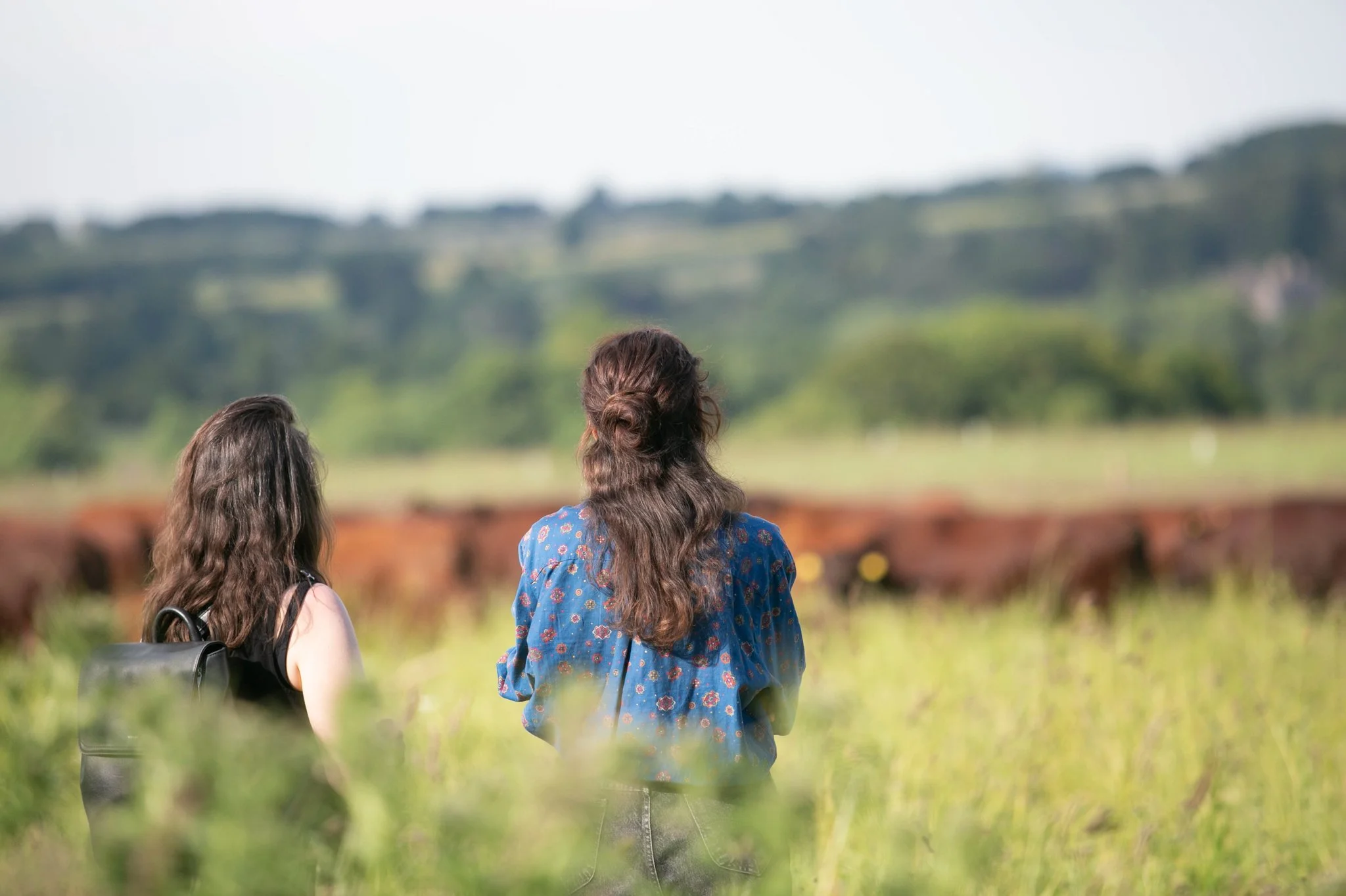 SWELL STUDIOS _SFT FUTURE OF FARMING-11.jpg