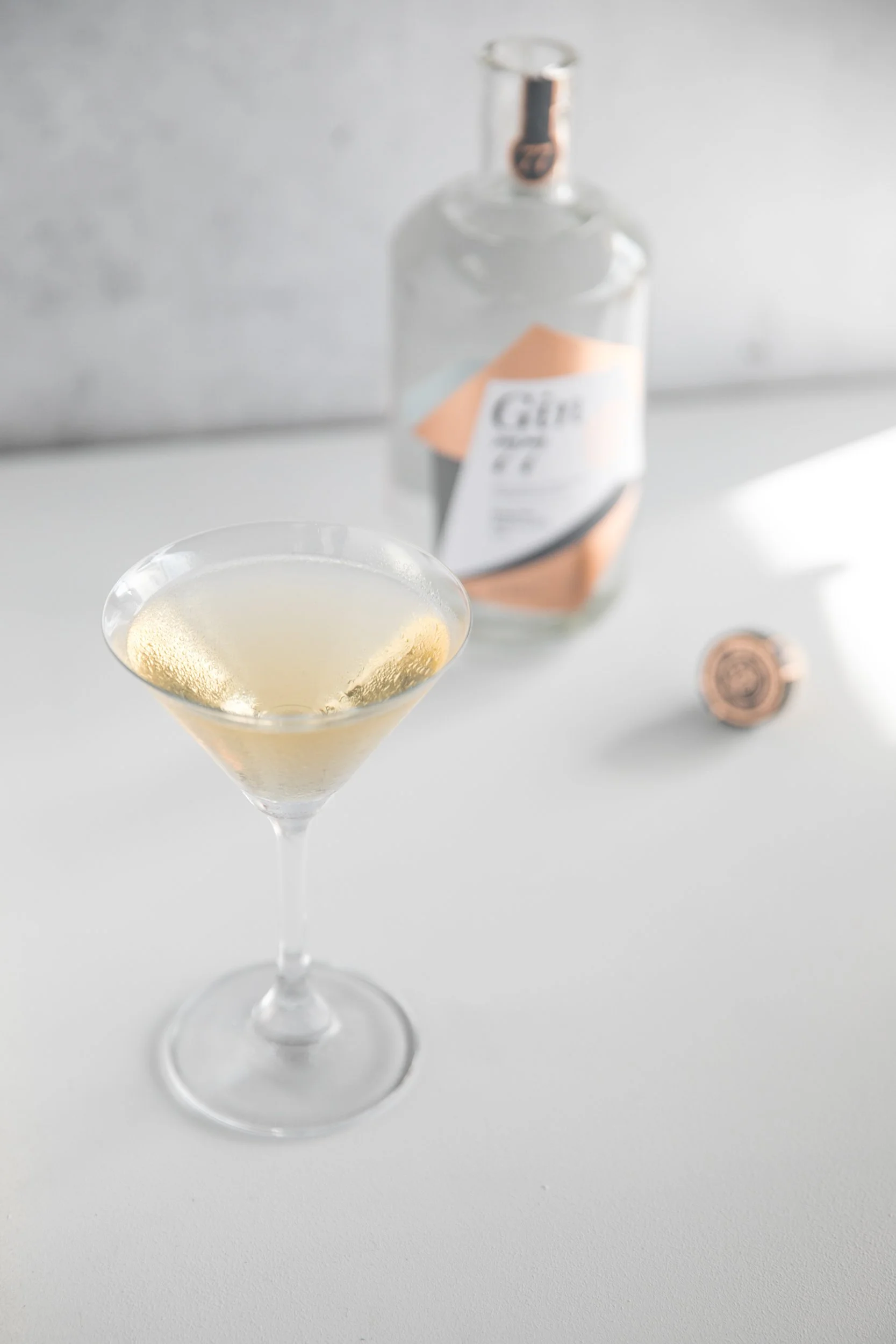 Bristol Distilling Co_Gin 77 martini-5.jpg