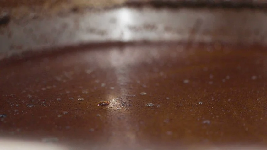 THE EM_stills from video_@chloeandcamera-16.jpg