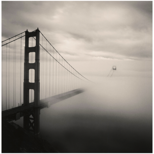 ggbridge3-1-600x600.png