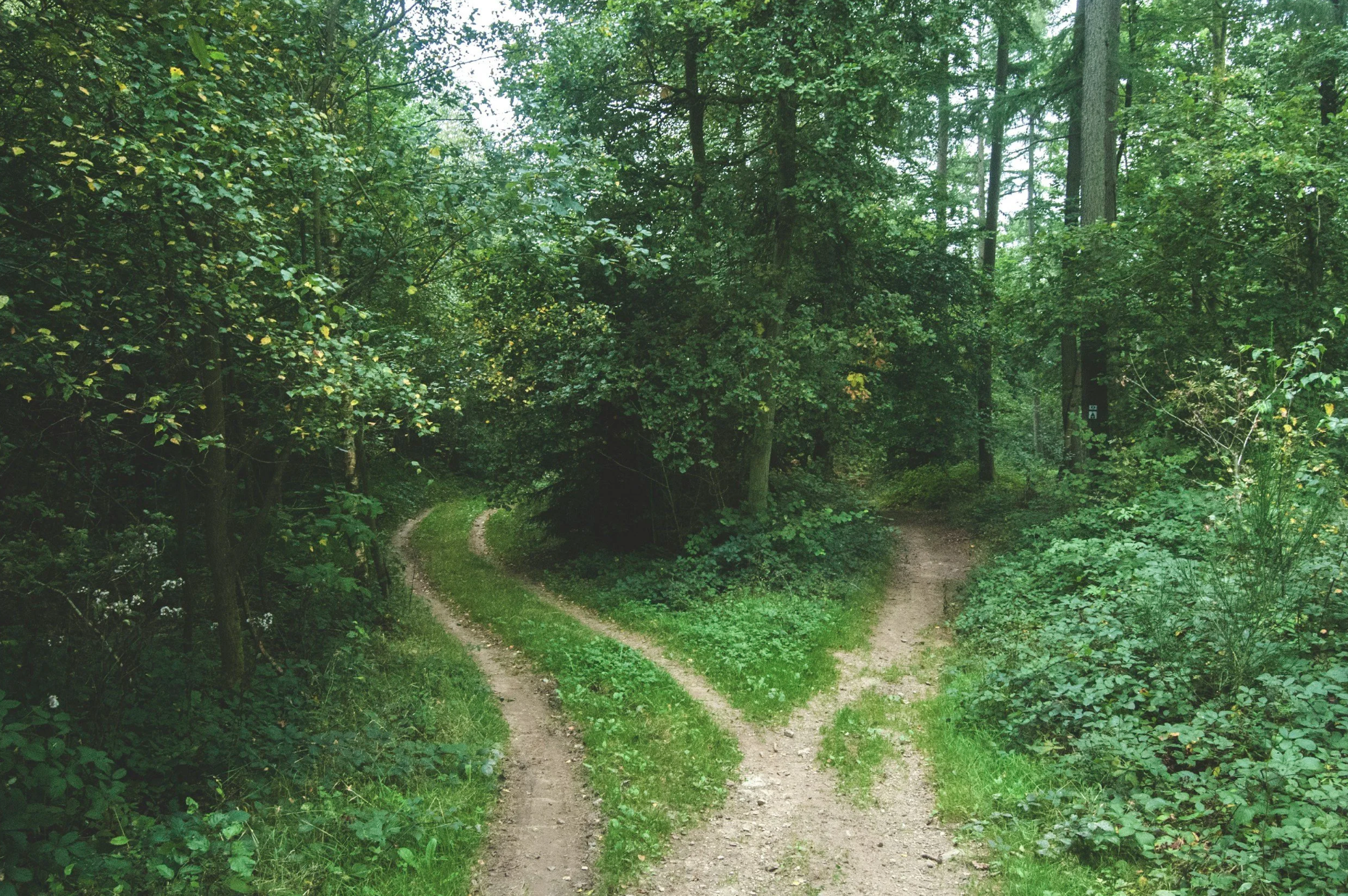 Core Values: Your Compass for Confident Decisions