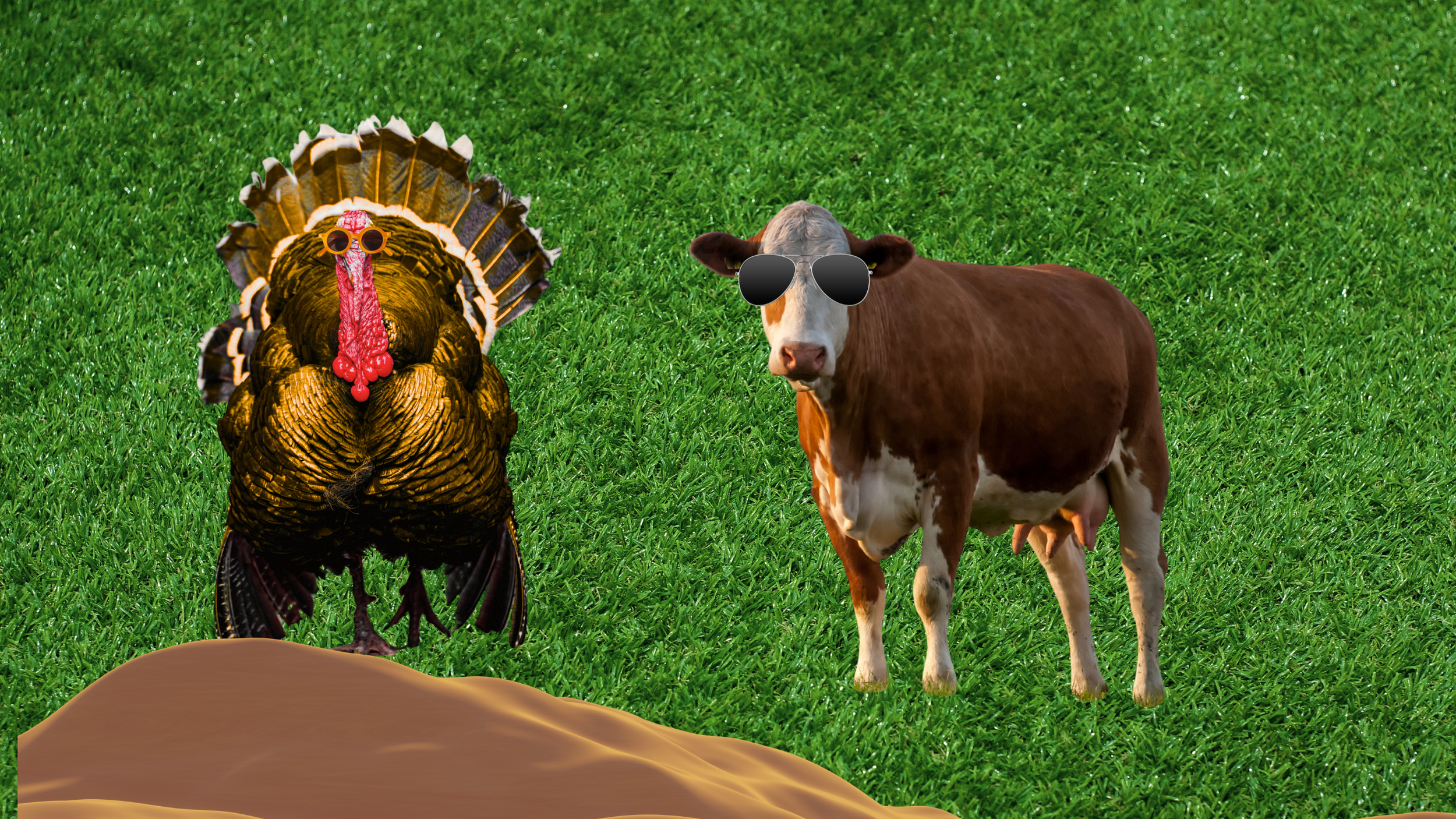 Your Brain is Starving and You're Only Feeding It Once a Year…