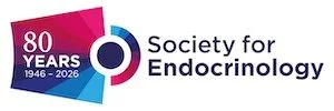 Copy of SFE_80_LOGO_01.jpg
