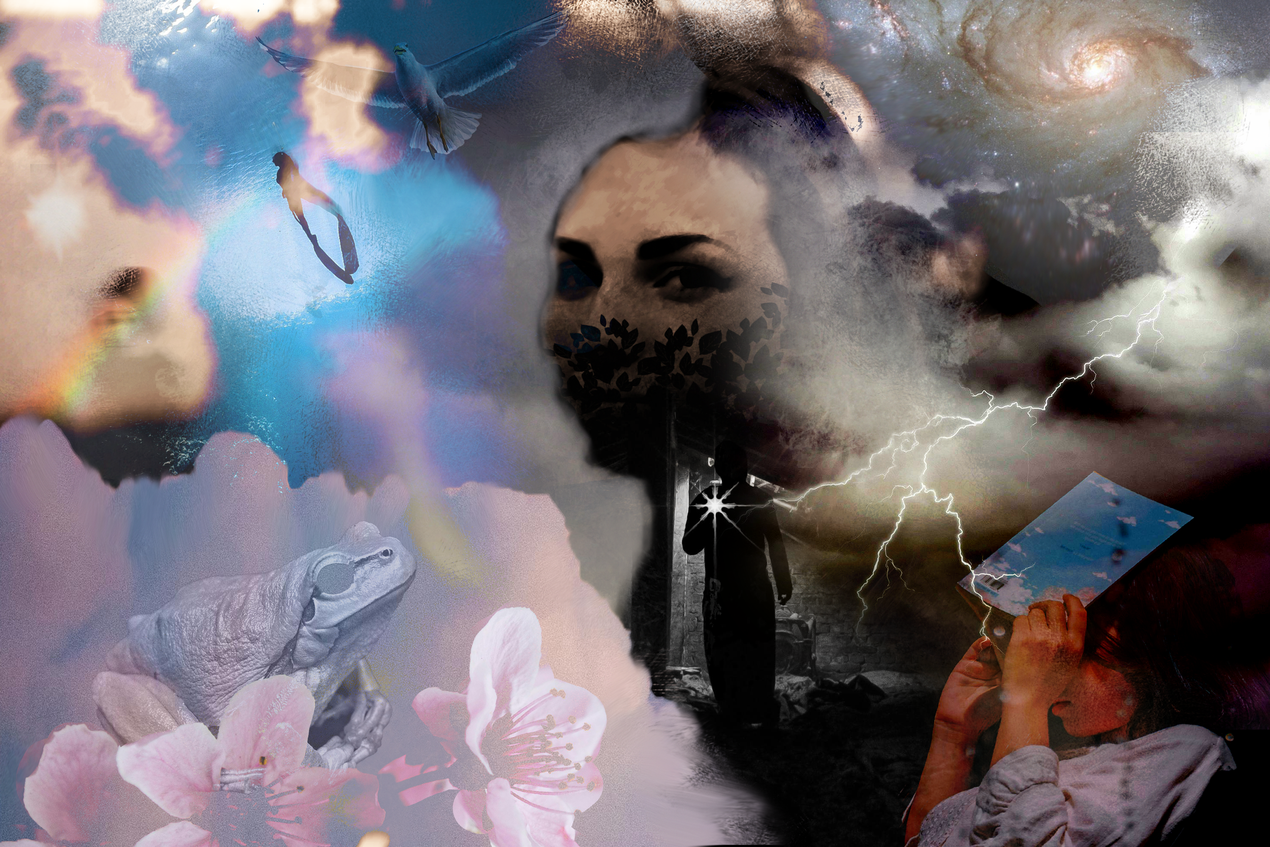 Digital Collage