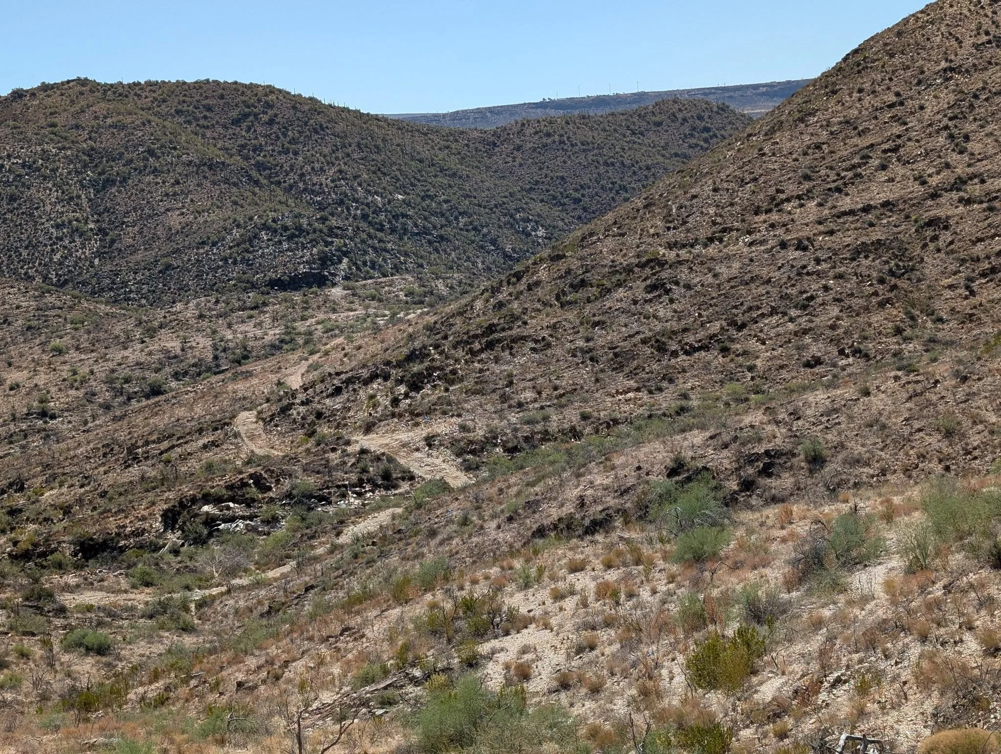 Turkey Creek - Easy to Intermediate Run