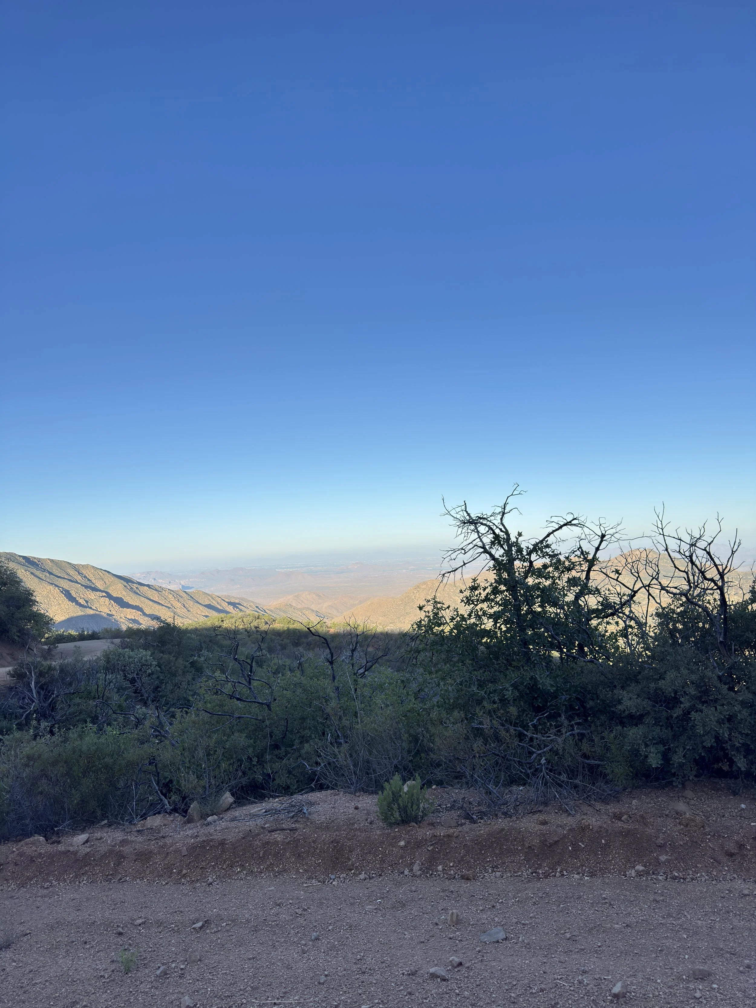 IMG_9807.jpeg
